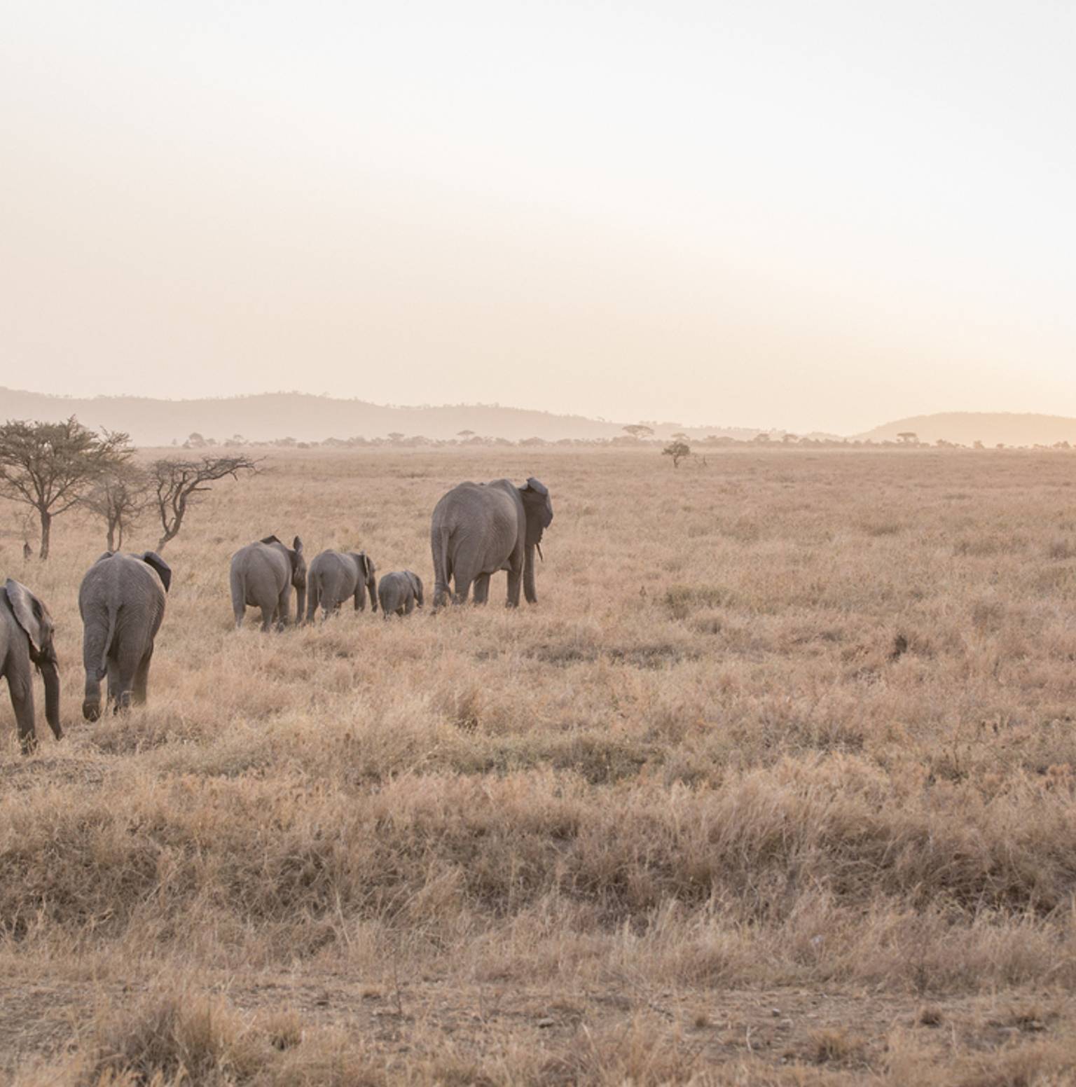Serengeti National Park — Lake Victoria