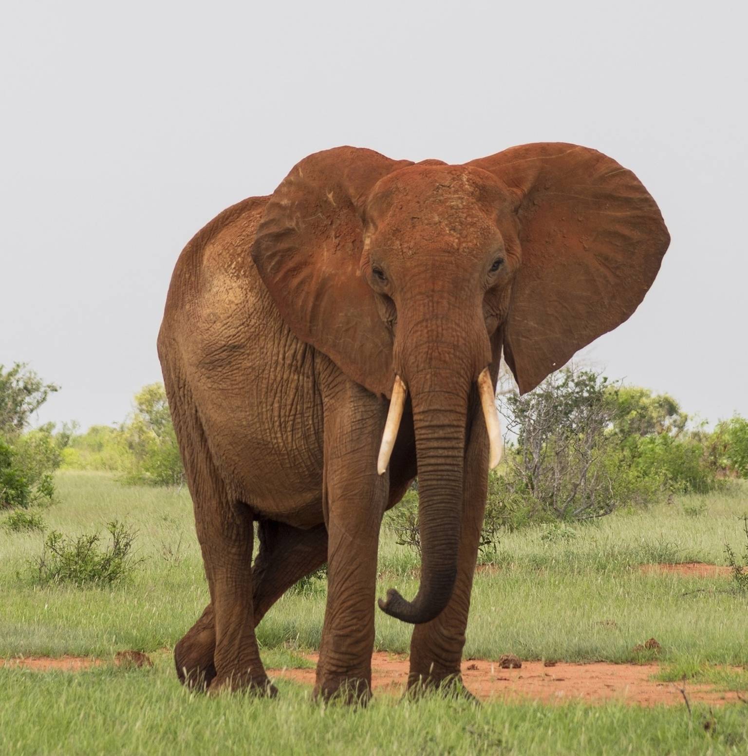 Lake Naivasha to Amboseli National Park — Lake Naivasha