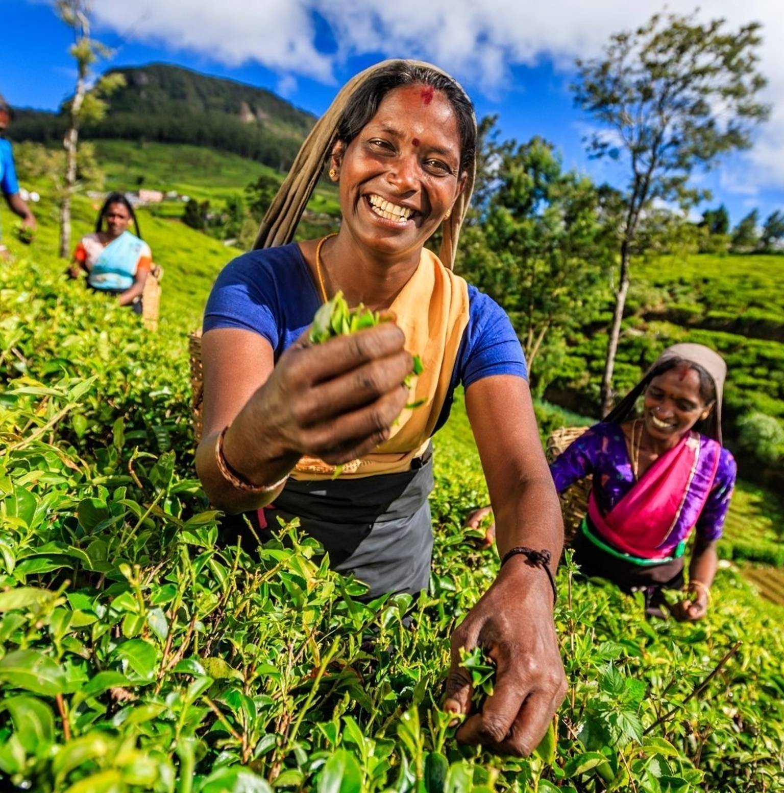 Hatton - Nuwara Eliya — Adam's Peak/ Sri Pada