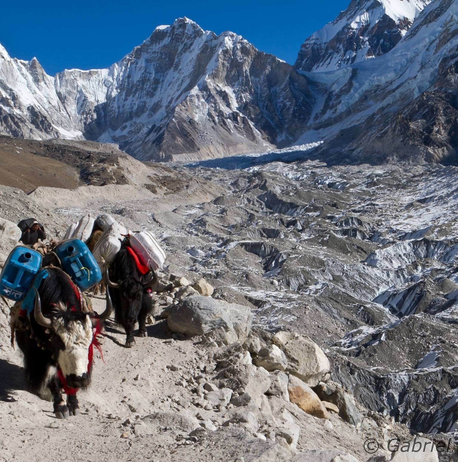 Trek to Gorakshep (5170 m), continue to Everest Base Camp (5,365 m) then back to Gorak Shep (5170 m) - Distance approx. 15km/ 8 hrs — Everest Base Camp