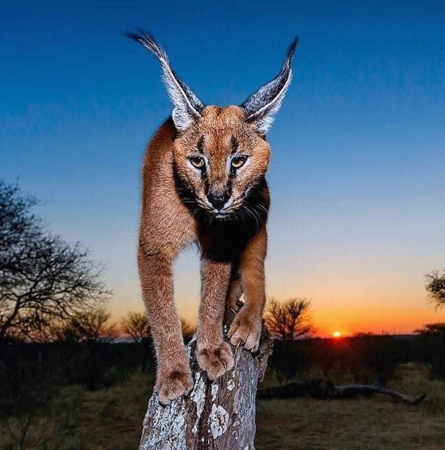 Blyde River Canyon Dam Boat Ride, game drive through Kruger Park — Blyde River Canyon Nature Reserve