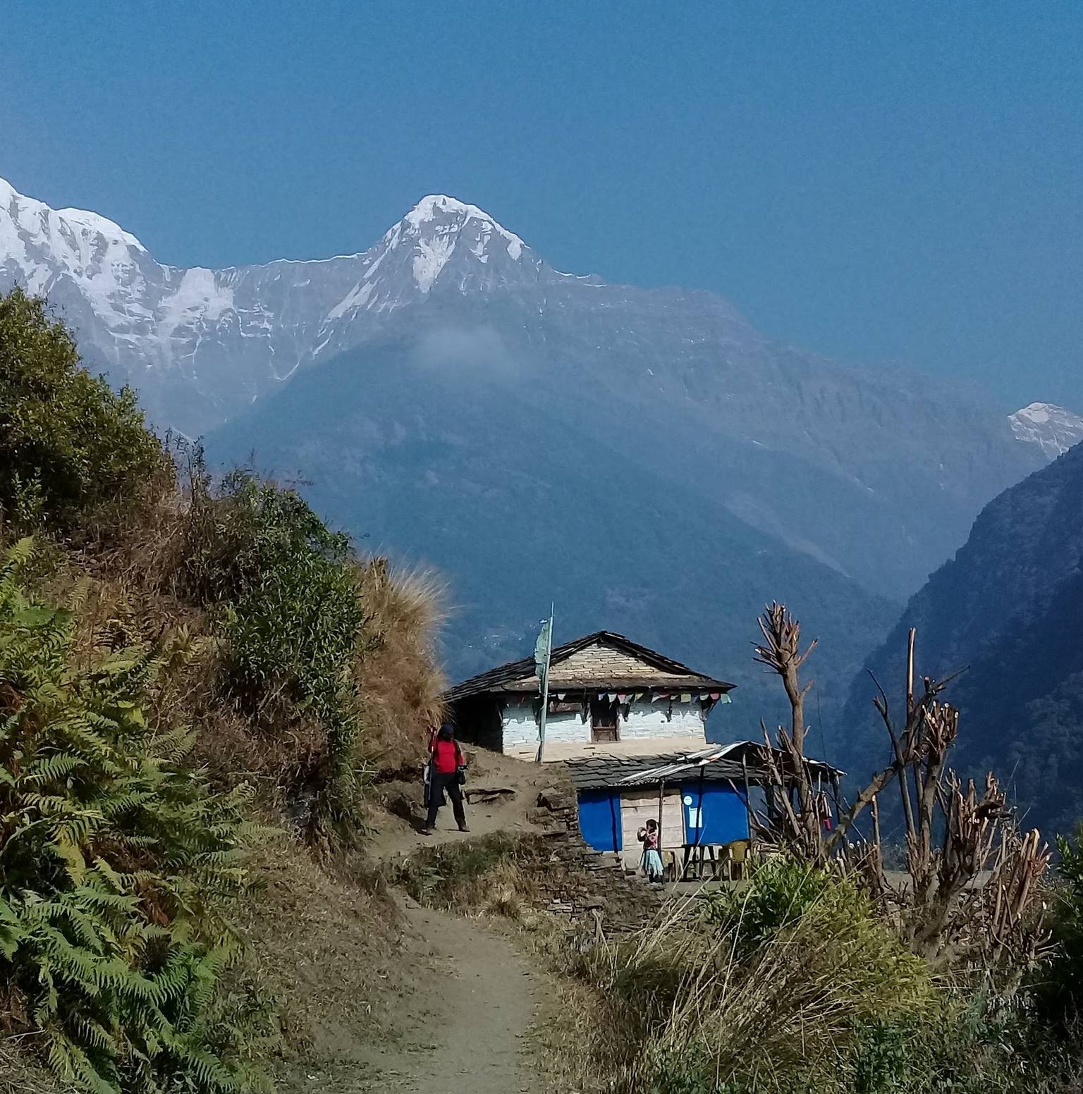 Drive to Nayapul and trek to Ghandruk (1940m/6360 ft) 5 - 6 hours trek — Naya Pul