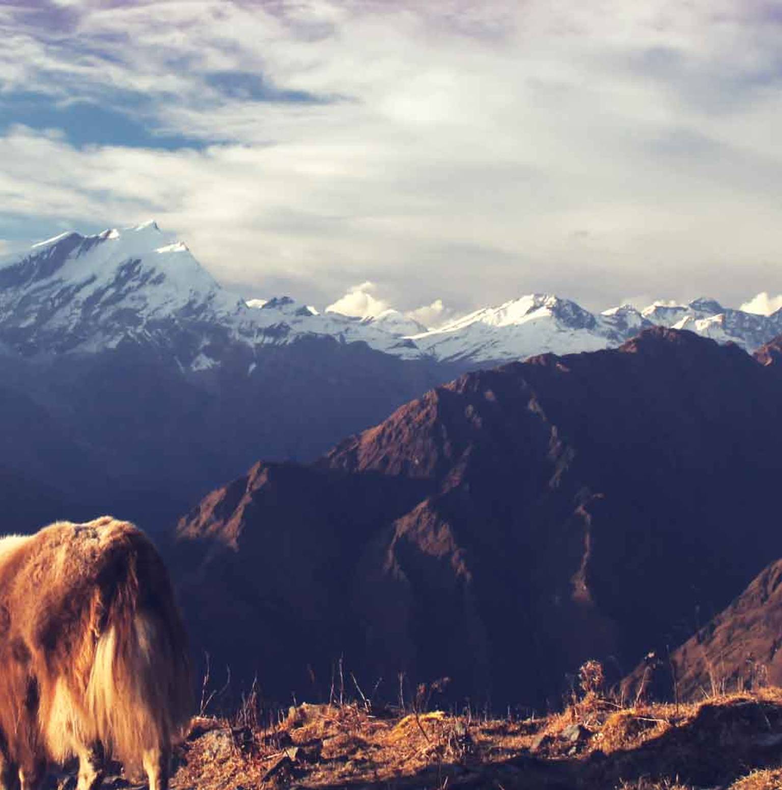 Ghandruk (1950m / 6397ft) — Pokhara