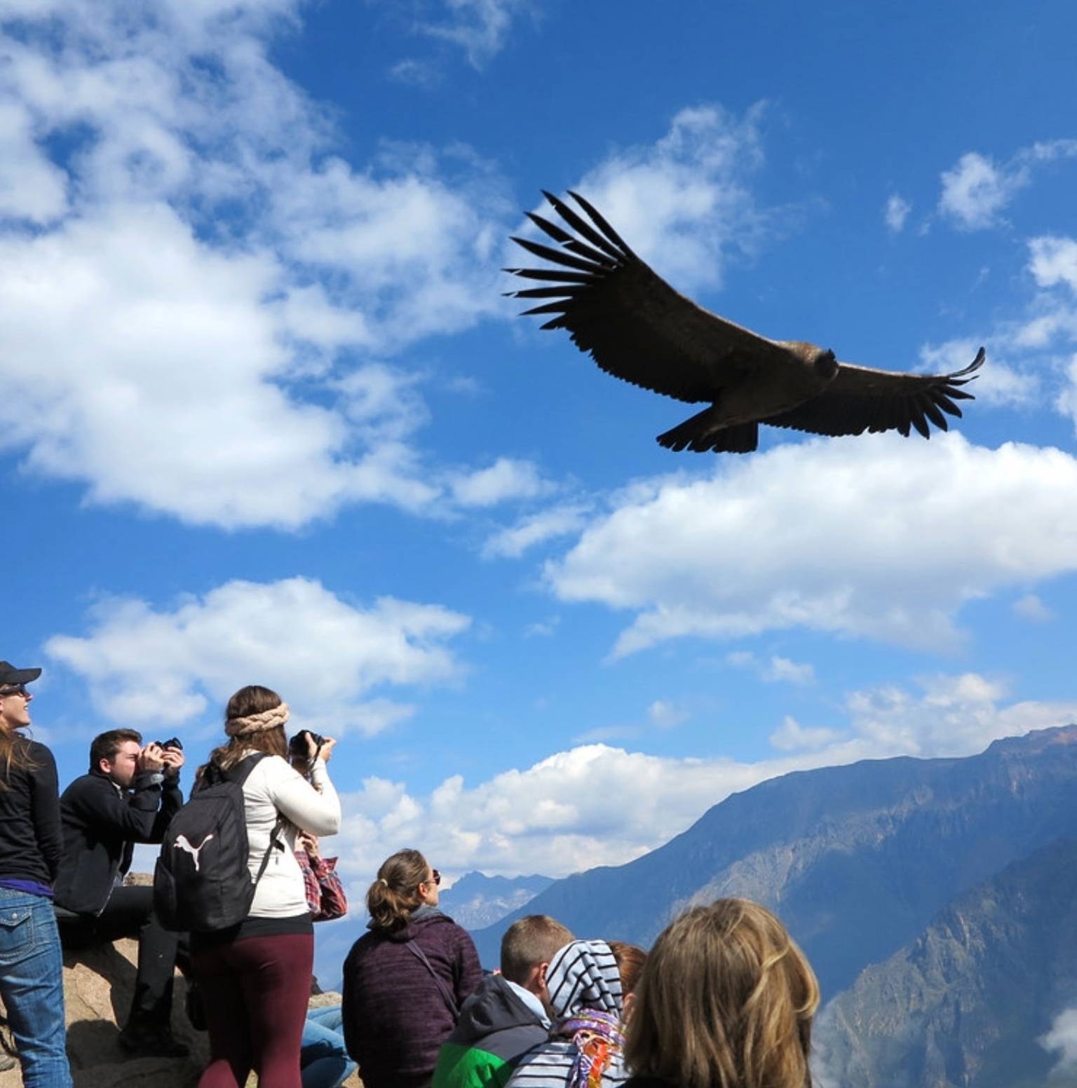 Transfer Puno – Colca Canyon — Puno
