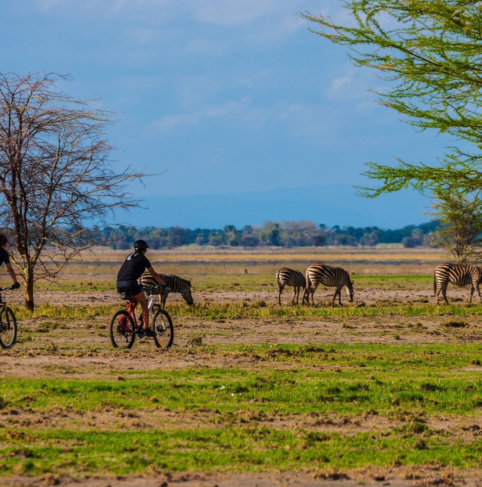 Tarangire national park – Lake Manyara | 74 km — Tarangire National Park