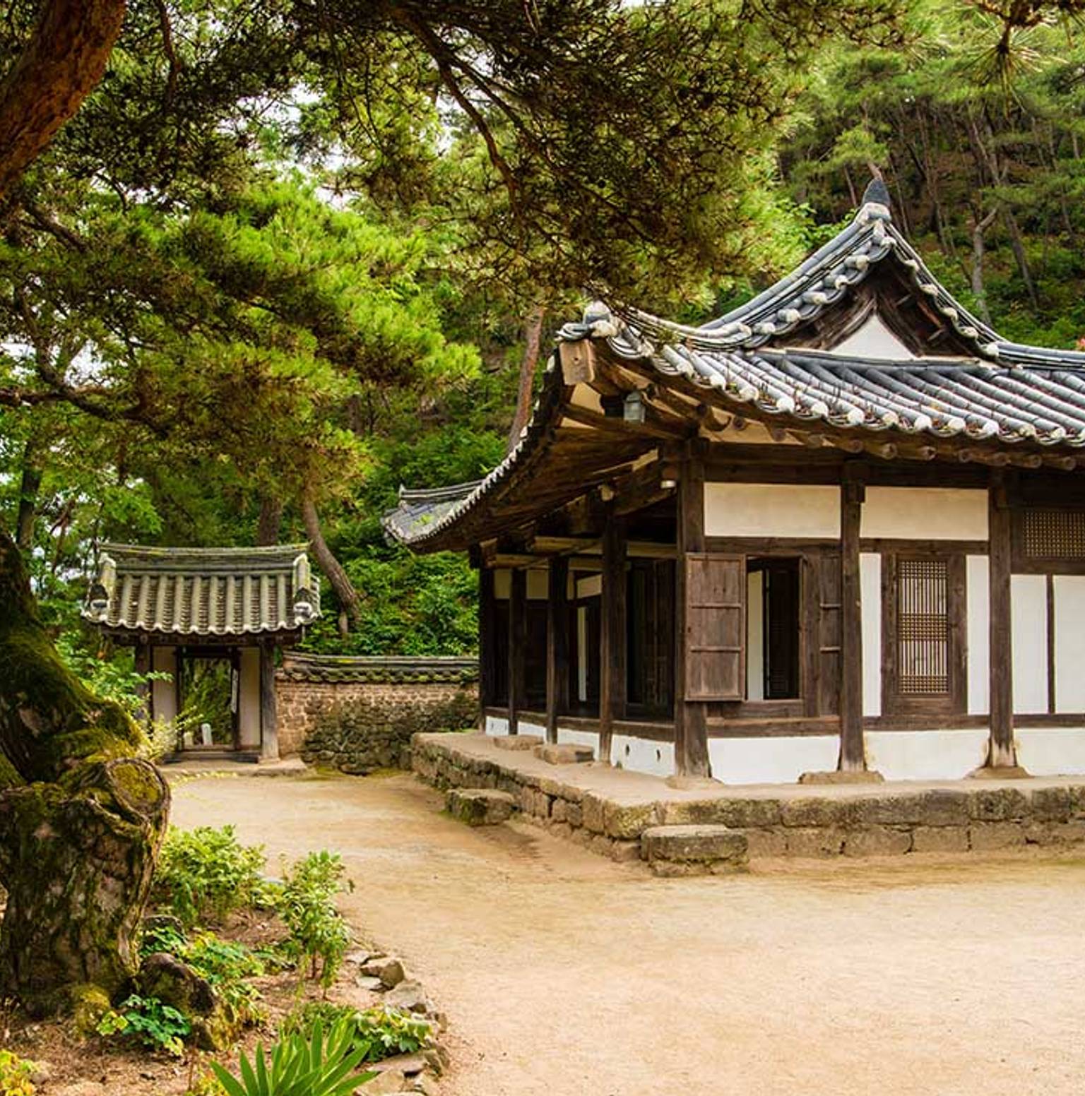 Andong — Andong