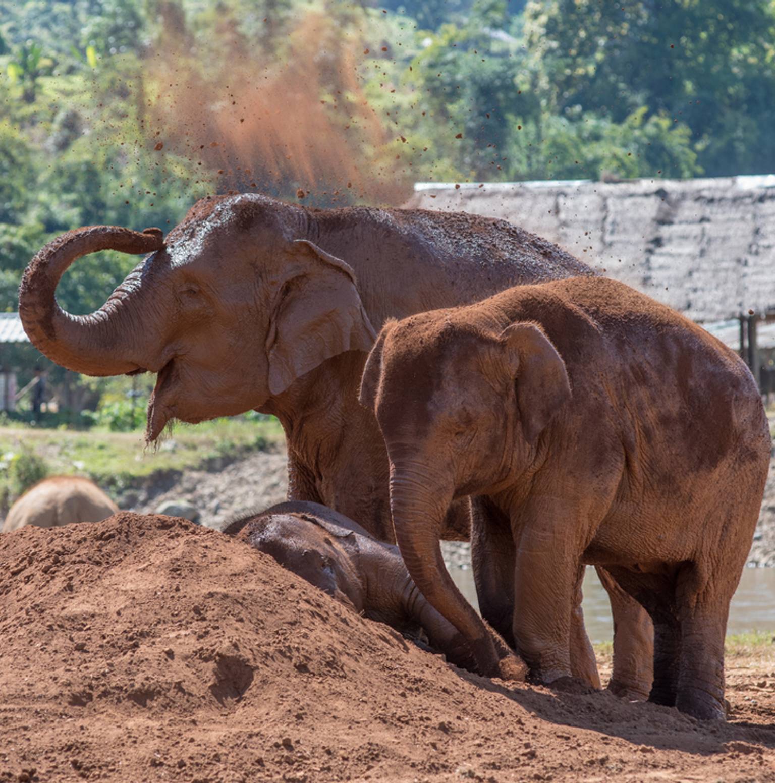 Chiang Mai — Chiang Mai
