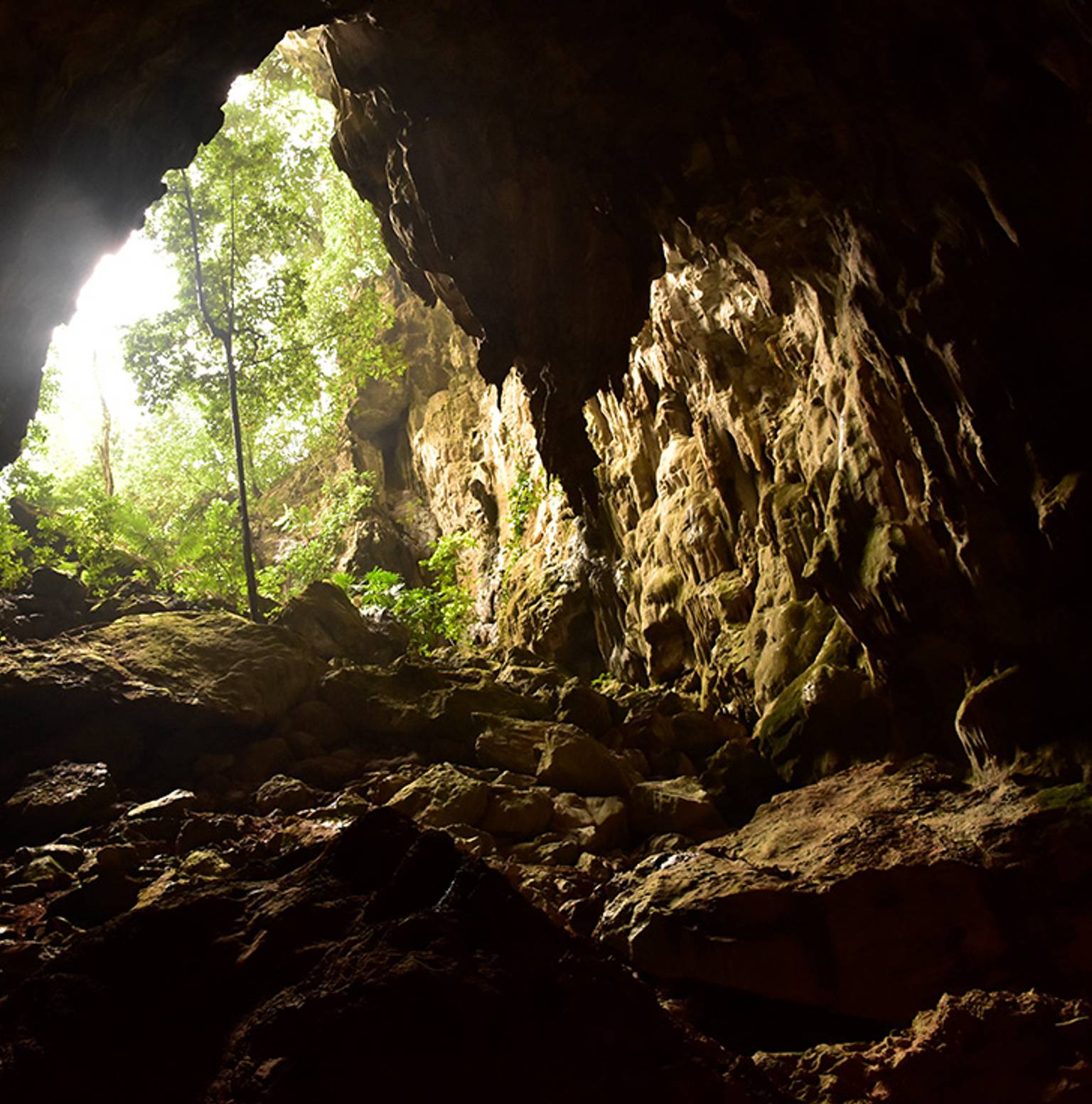 Phong Nha-Ke Bang National Park — Vinh Moc