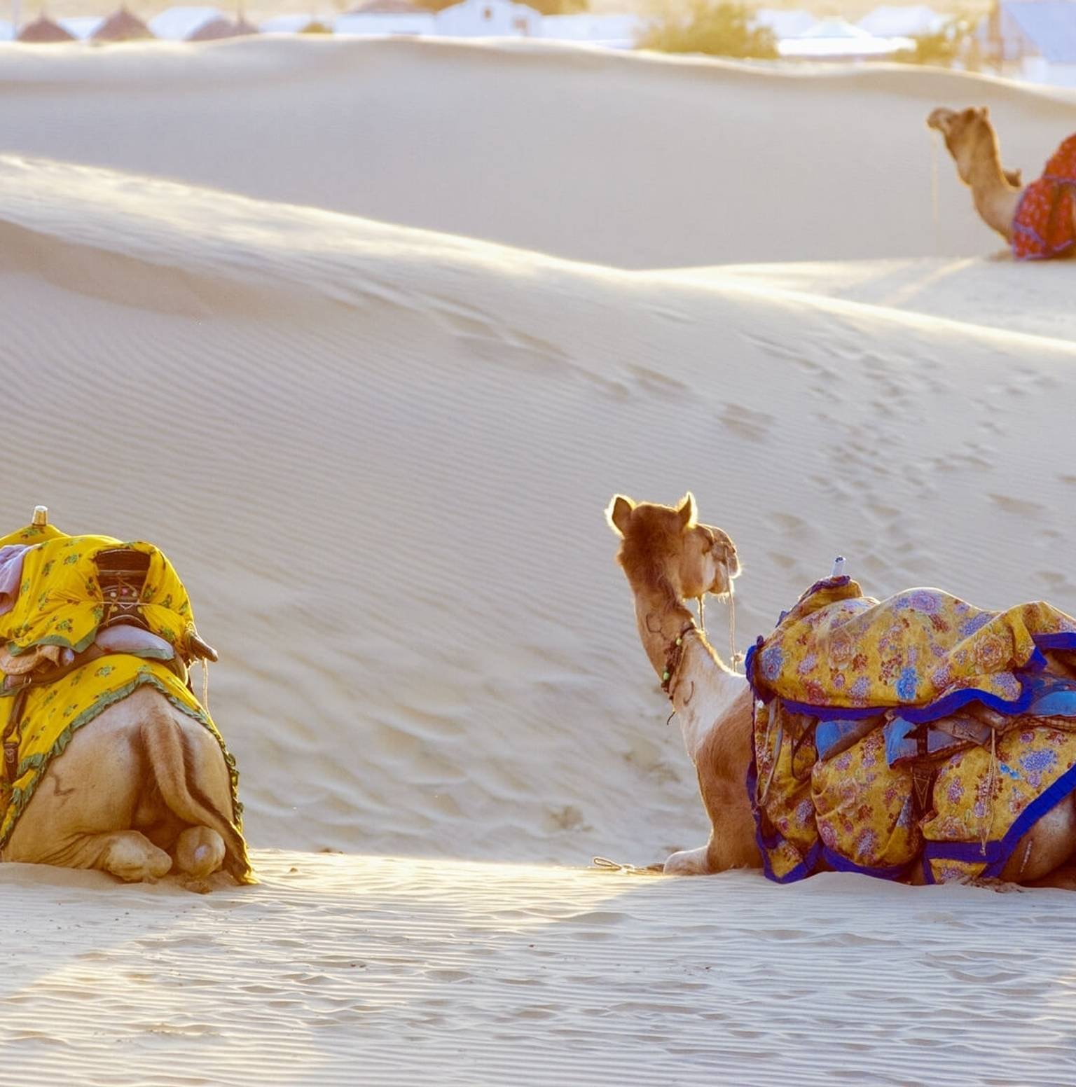 Bikaner - Jaisalmer (330 Kms / 6 Hrs) — Bikaner