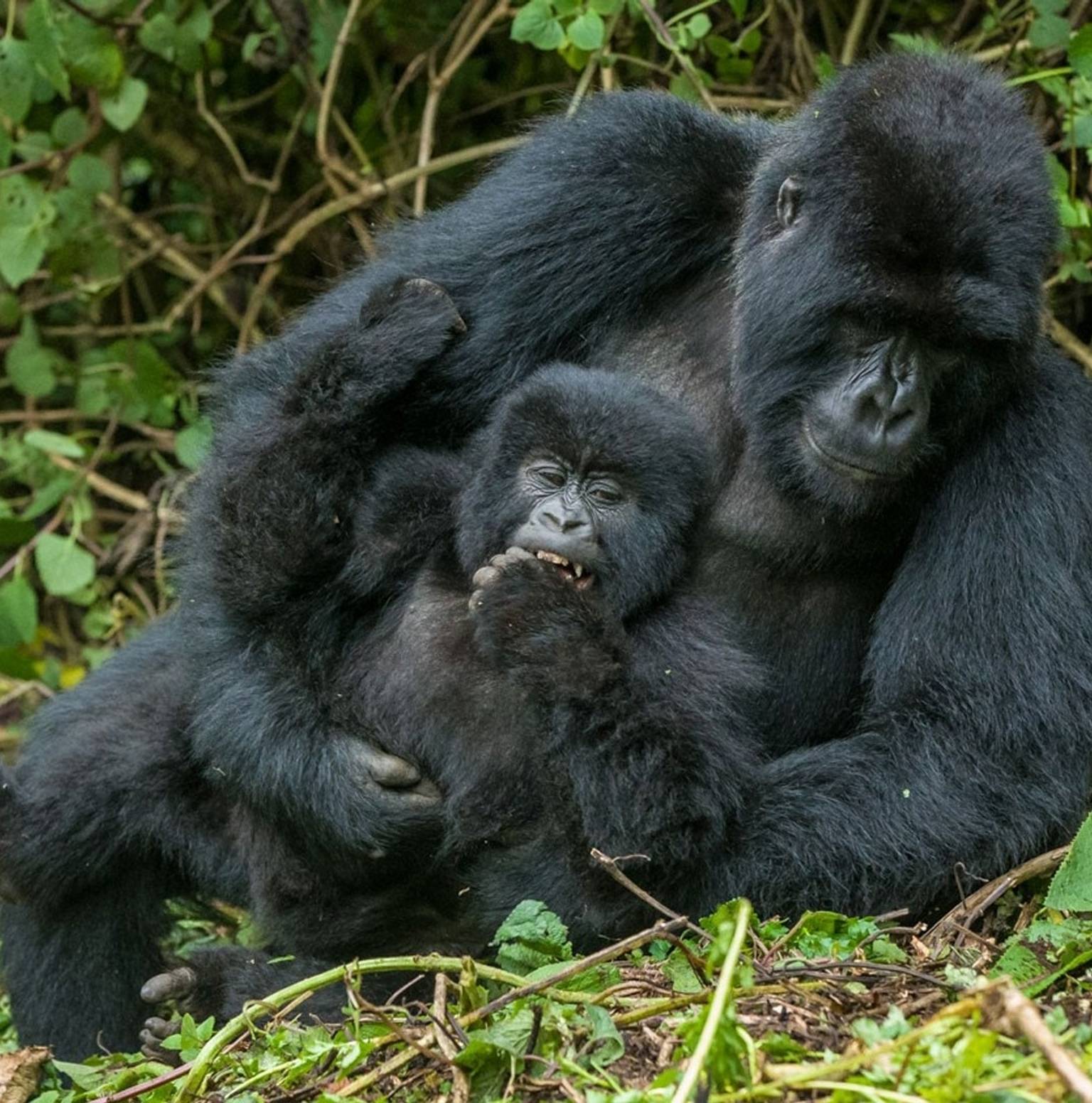 Kampala to Bwindi National Park — Bwindi Impenetrable National Park