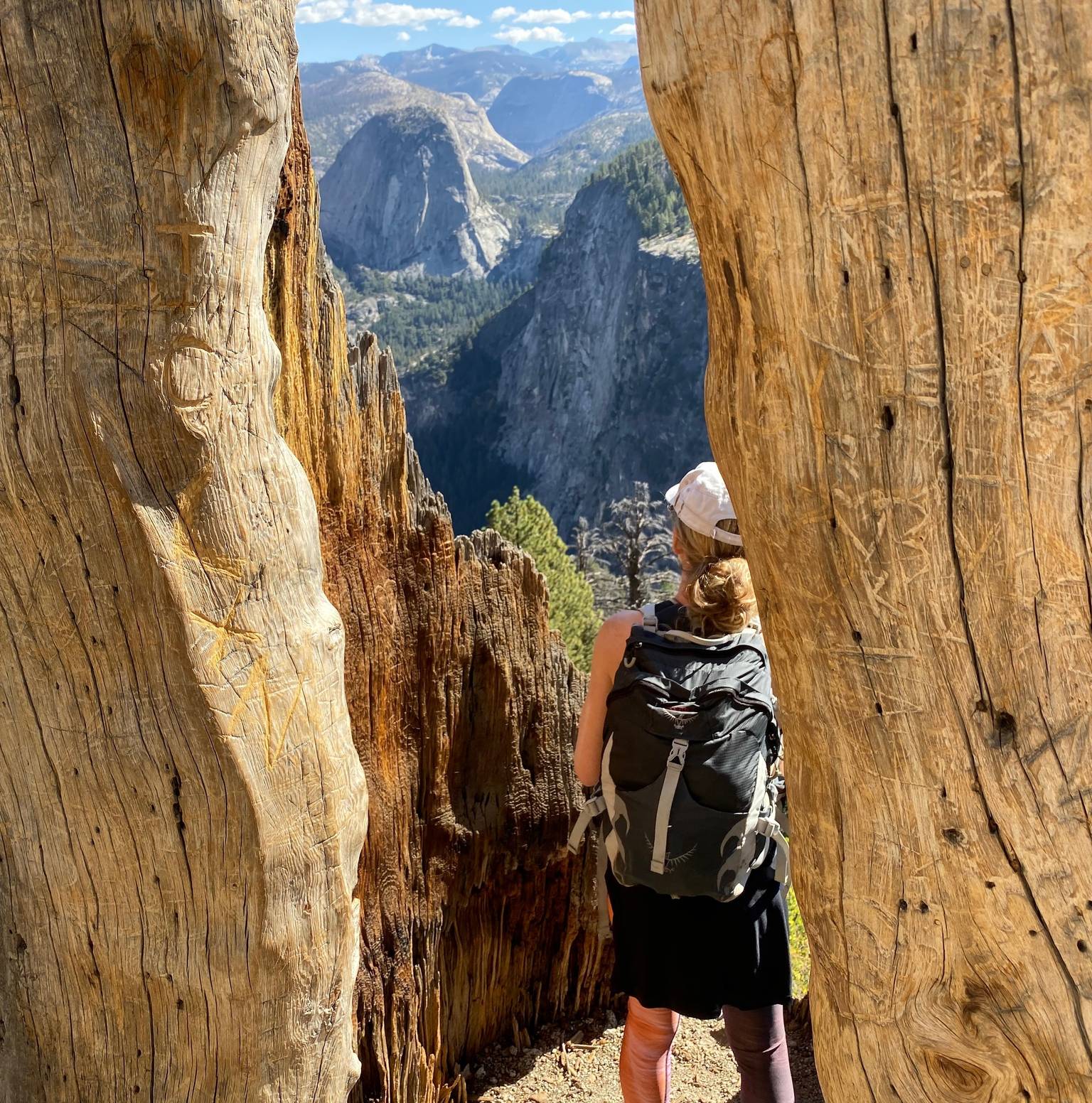 Tioga Pass* to Yosemite National Park — Yosemite National Park