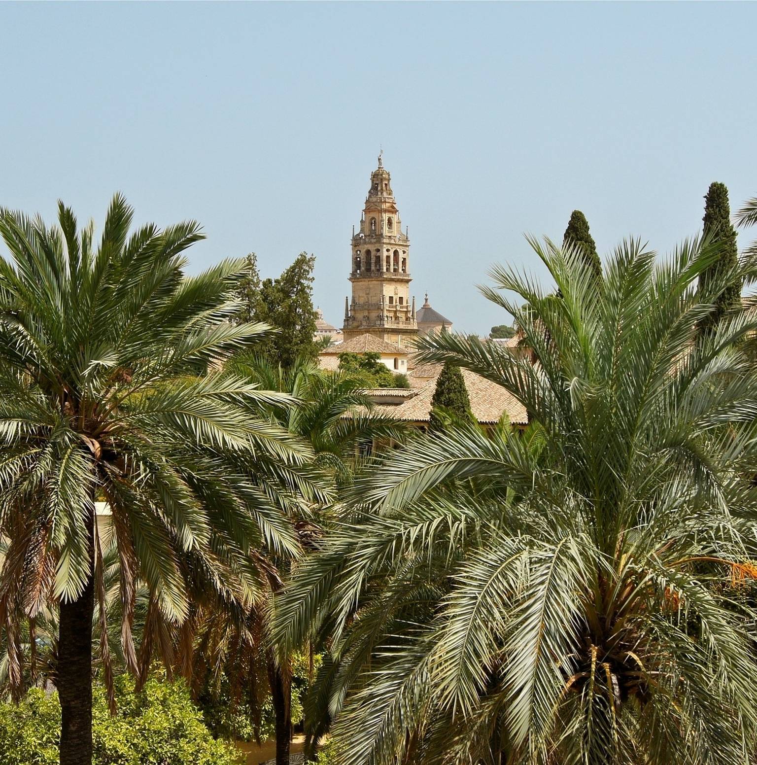 (MONDAY) SEVILLE - CORDOBA (145kms) — Seville
