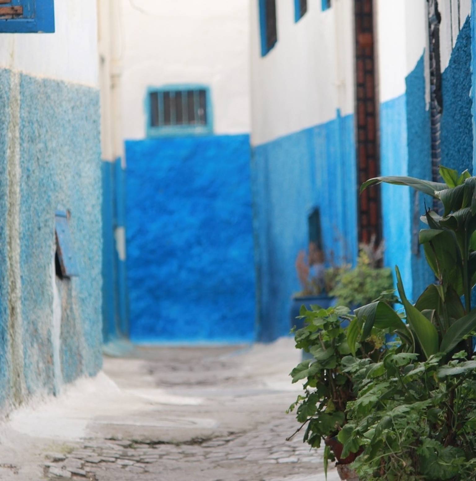 COSTA DEL SOL-TANGIER-ASSILAH-RABAT (Ferry) — Costa del Sol