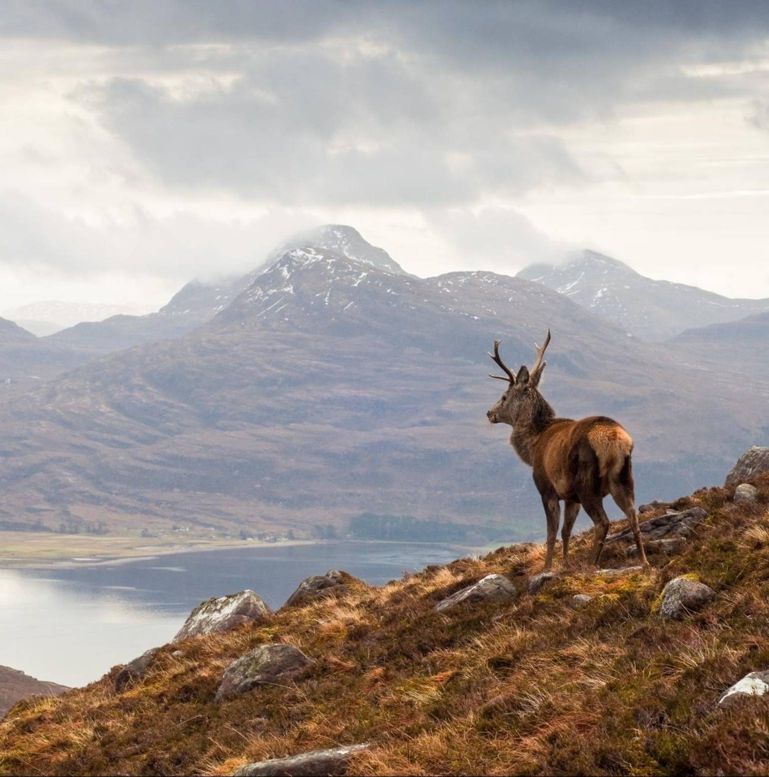 Ullapool to Applecross — Ullapool