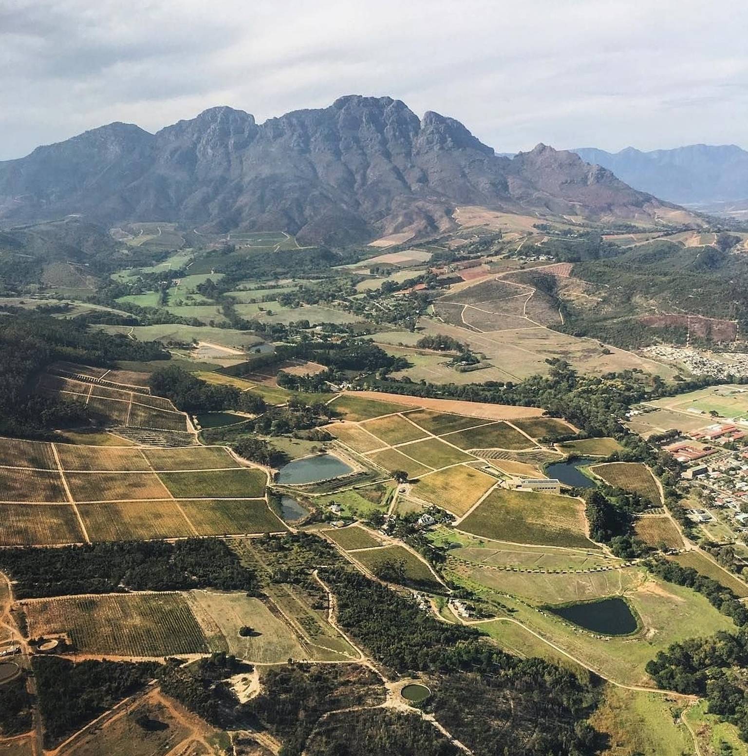 Castle of Good Hope, wine farm — Cape Town