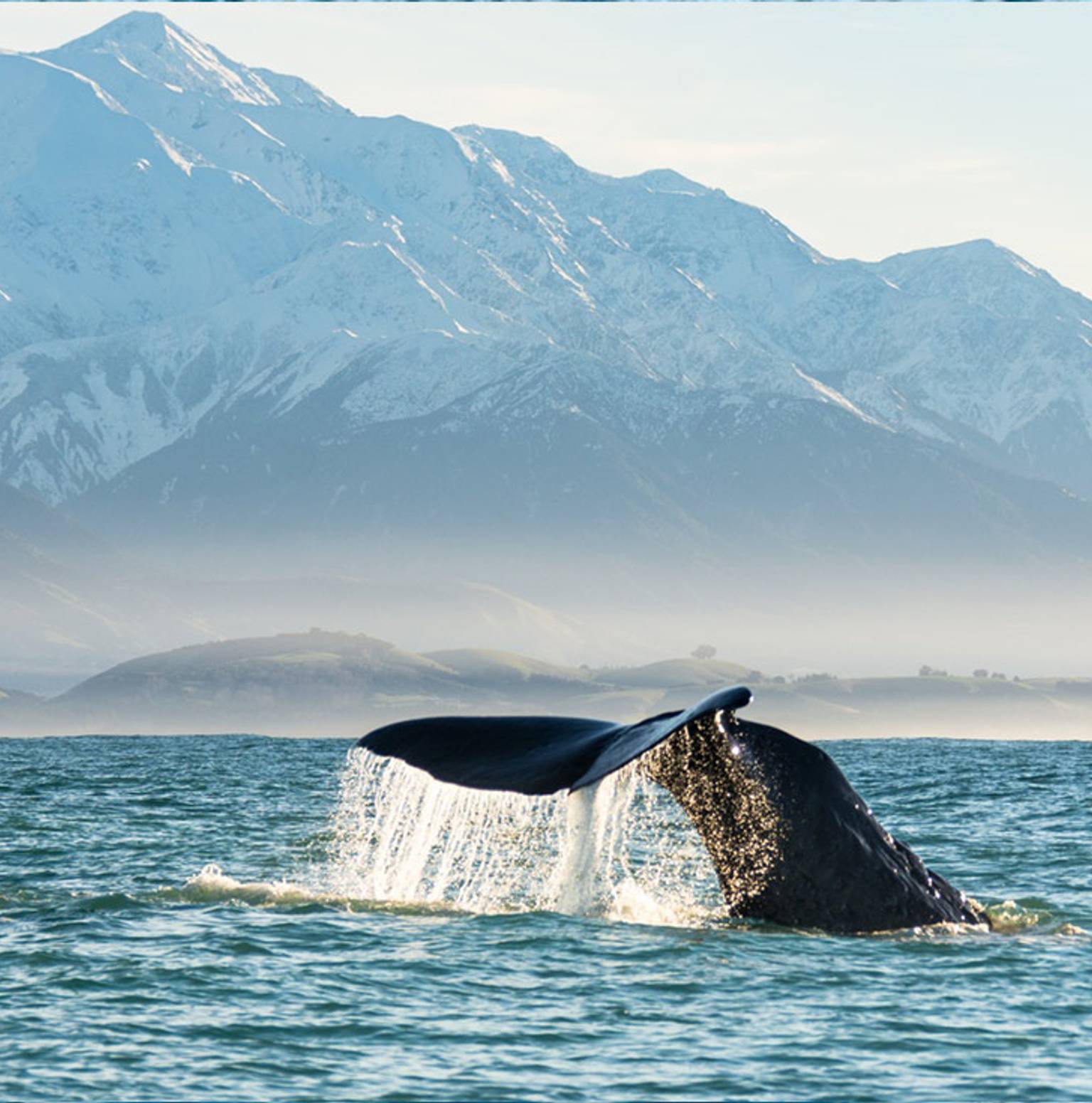Kaikoura — Kaikoura