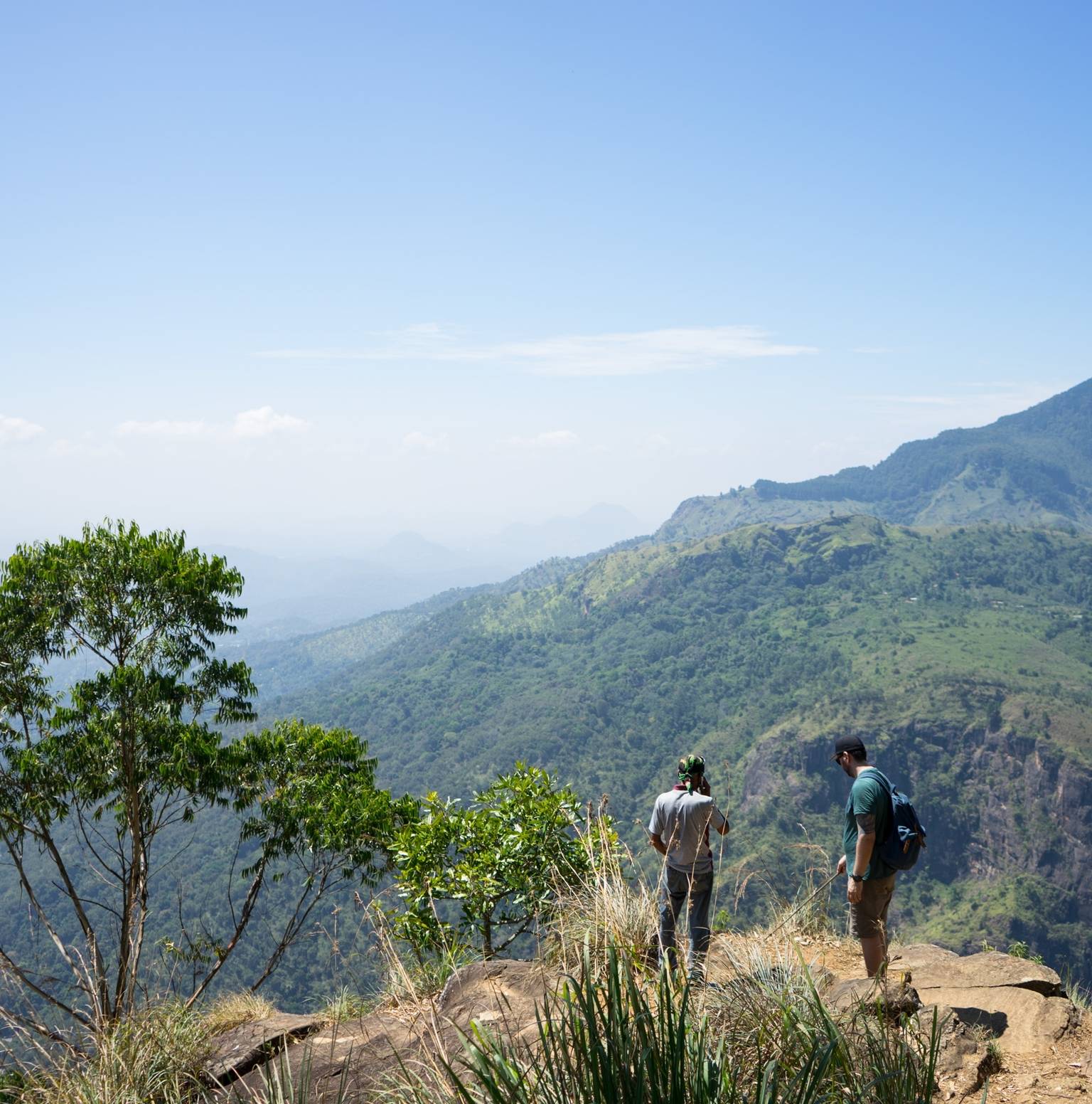 Thangamalay Forest Reserve — Haputale