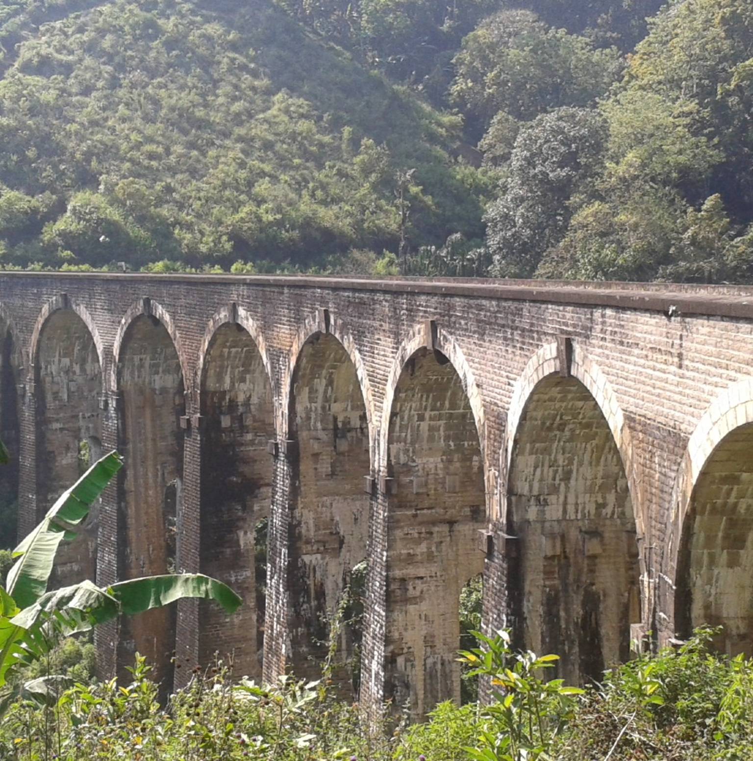 Kandy, Royal Botanical Gardens, Temple of the Tooth, Transfer to Ella — Kandy
