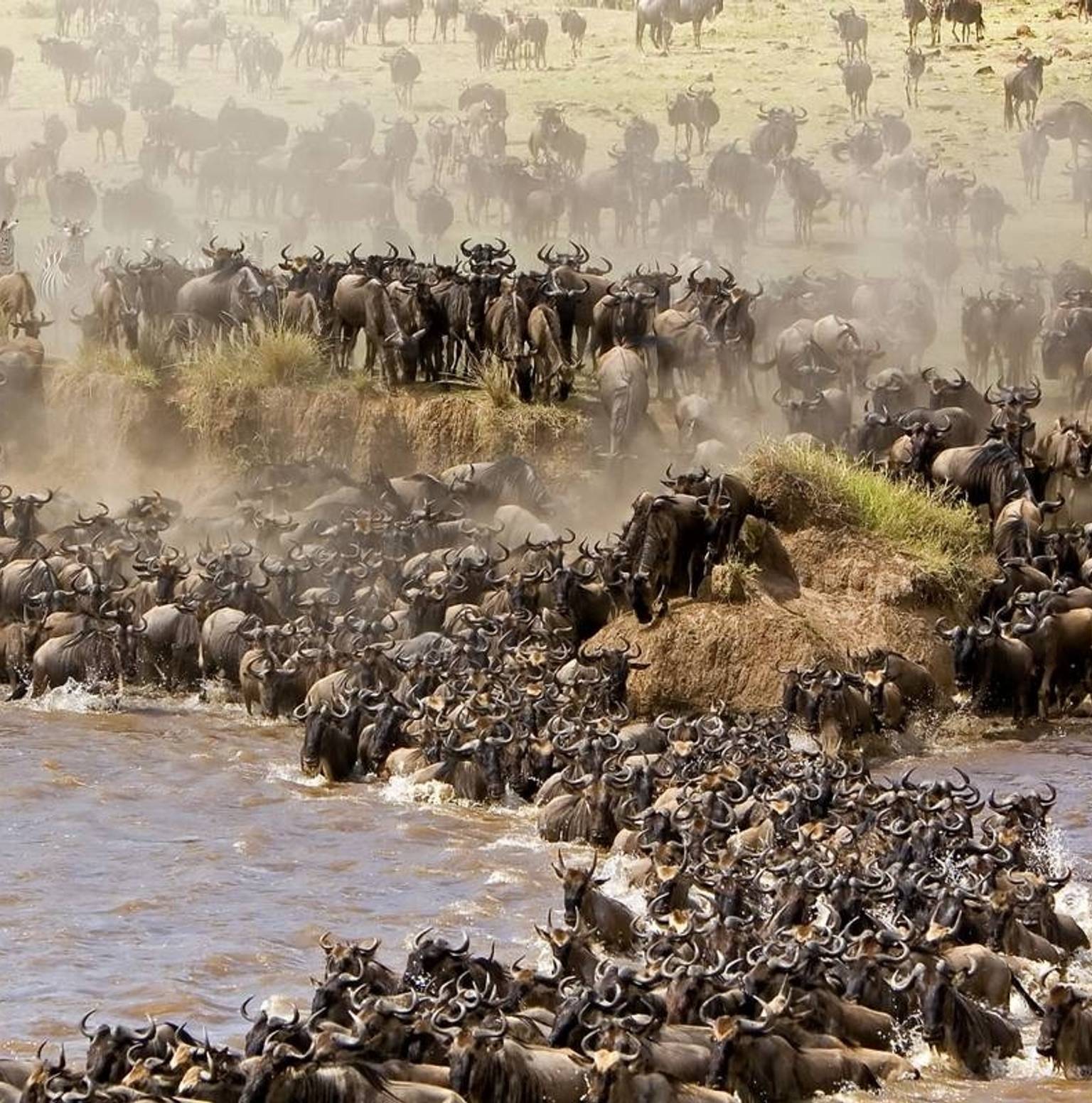 Northern Serengeti | Kogatende | Tanzania Bush Camp — Serengeti National Park