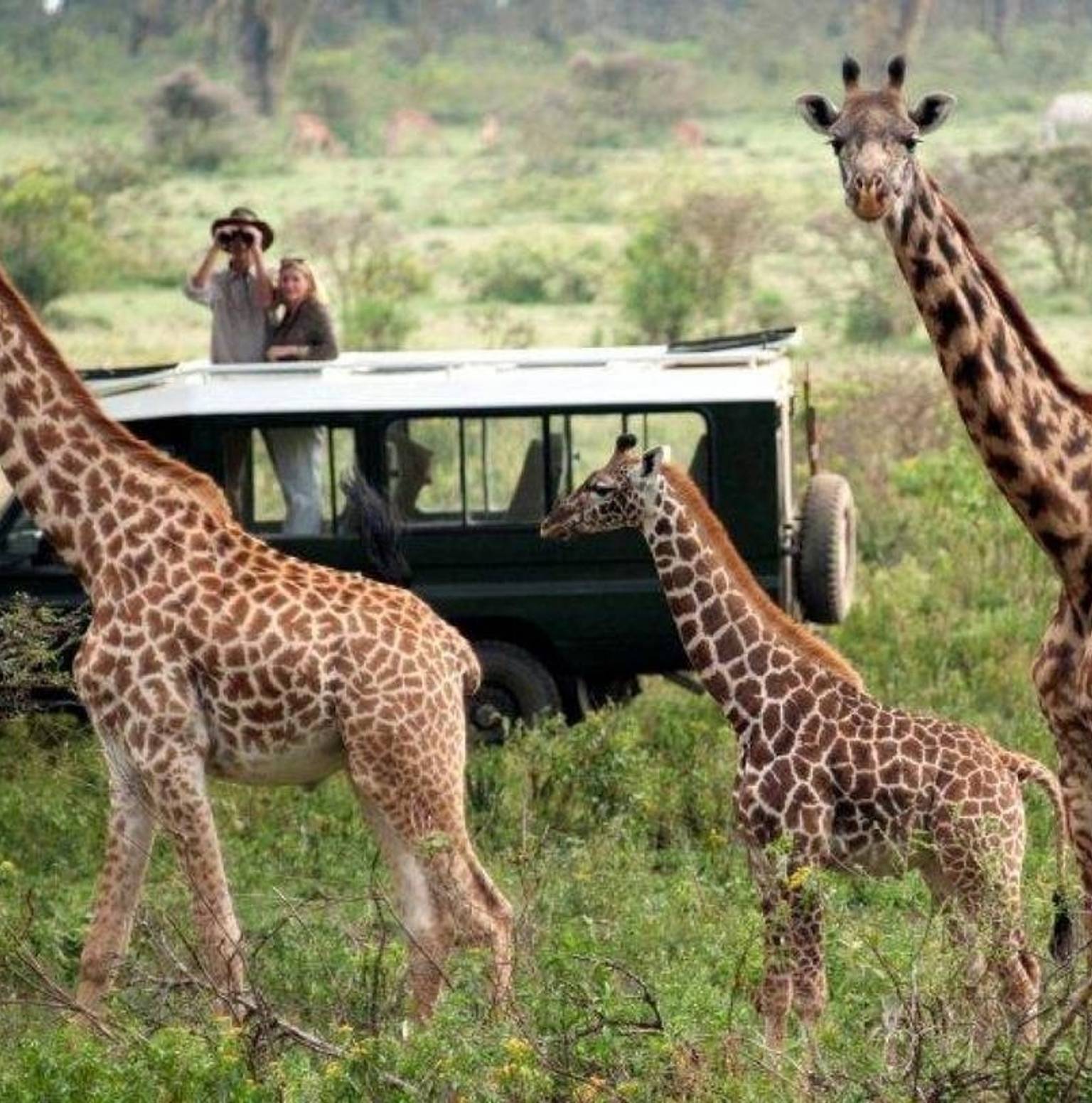 Ngorongoro | Lake Manyara MaweMawe Lodge — Ngorongoro Conservation Area