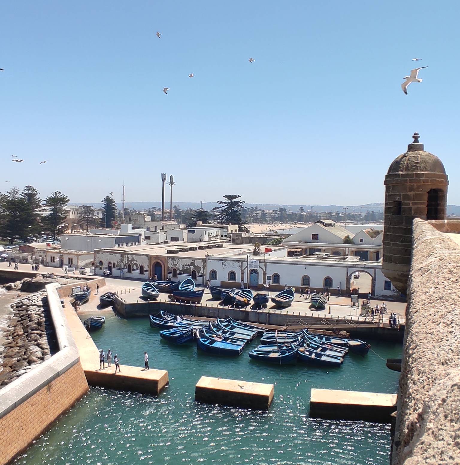 Marrakech to Essaouira – Coastal Flavors & Medina Charm — Marrakesh