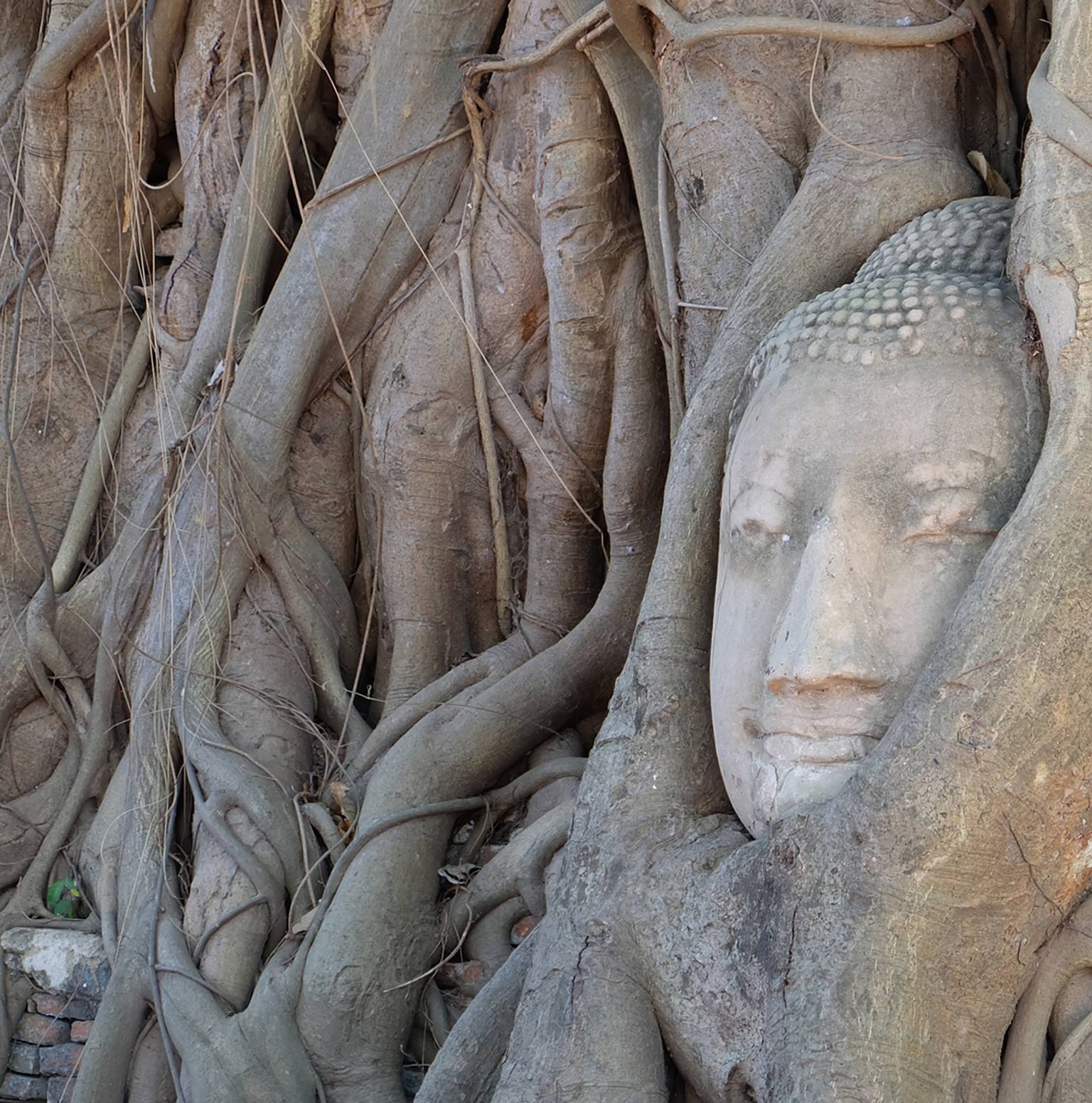 Ayutthaya & Lopburi — Bangkok