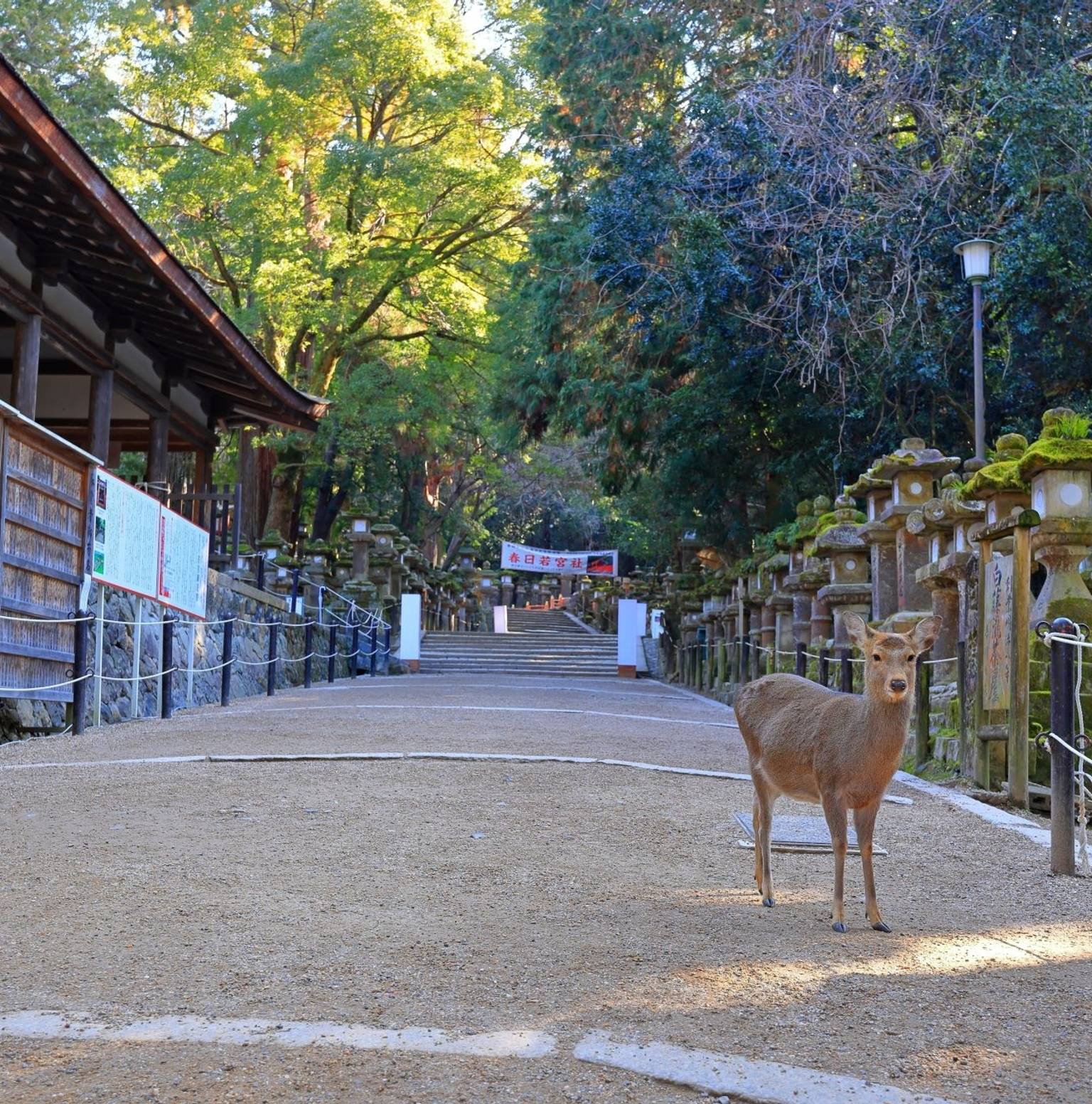 Kyoto & Nara — Kyoto
