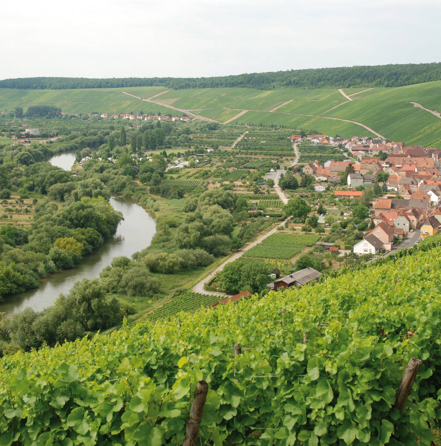 Hassfurt - Volkach | Approx. 34 miles / 55 km — Hassfurt