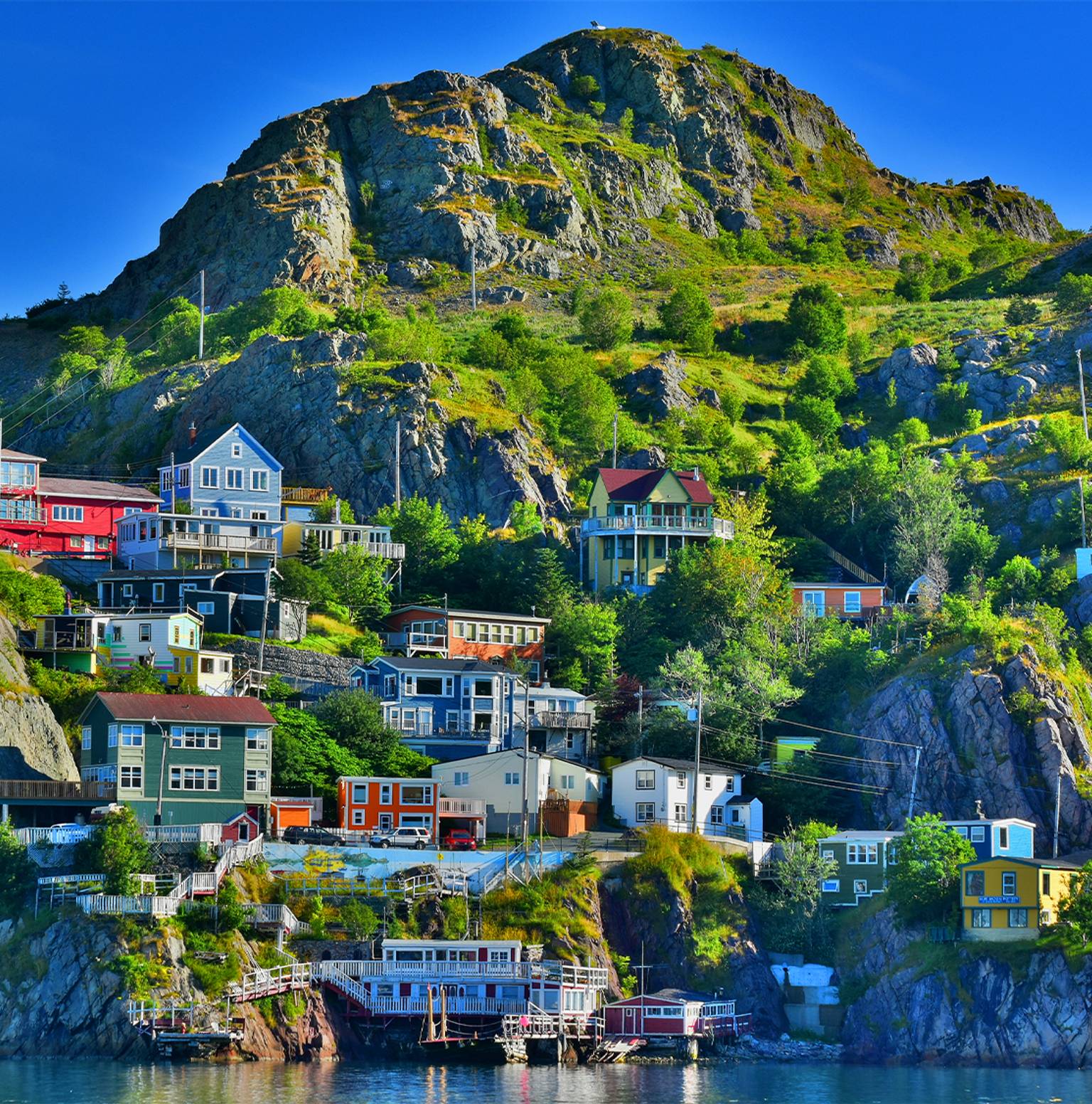 Witless Bay boat tour — Witless Bay