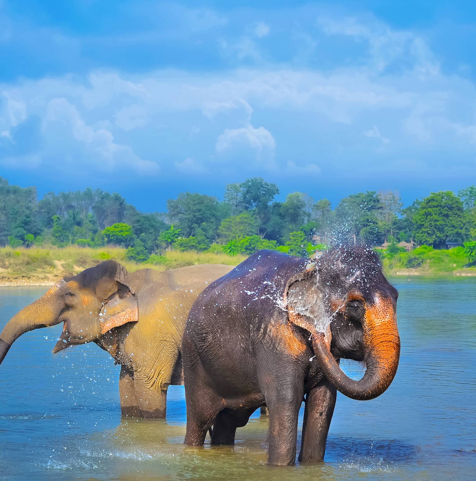 Pharping to Royal Chitwan National Park (1B, 1D) — Pharping