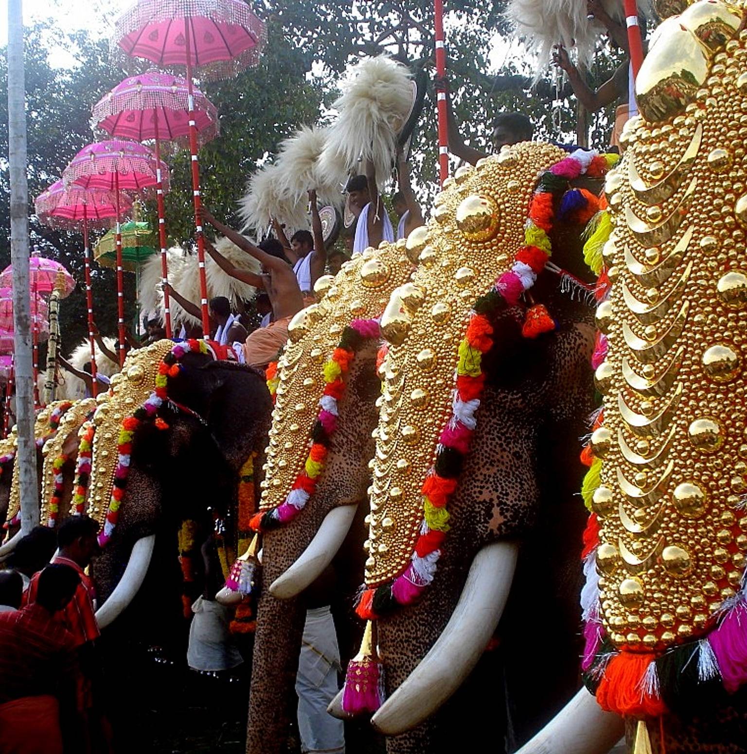 MUNNAR - PERIYAR — Munnar