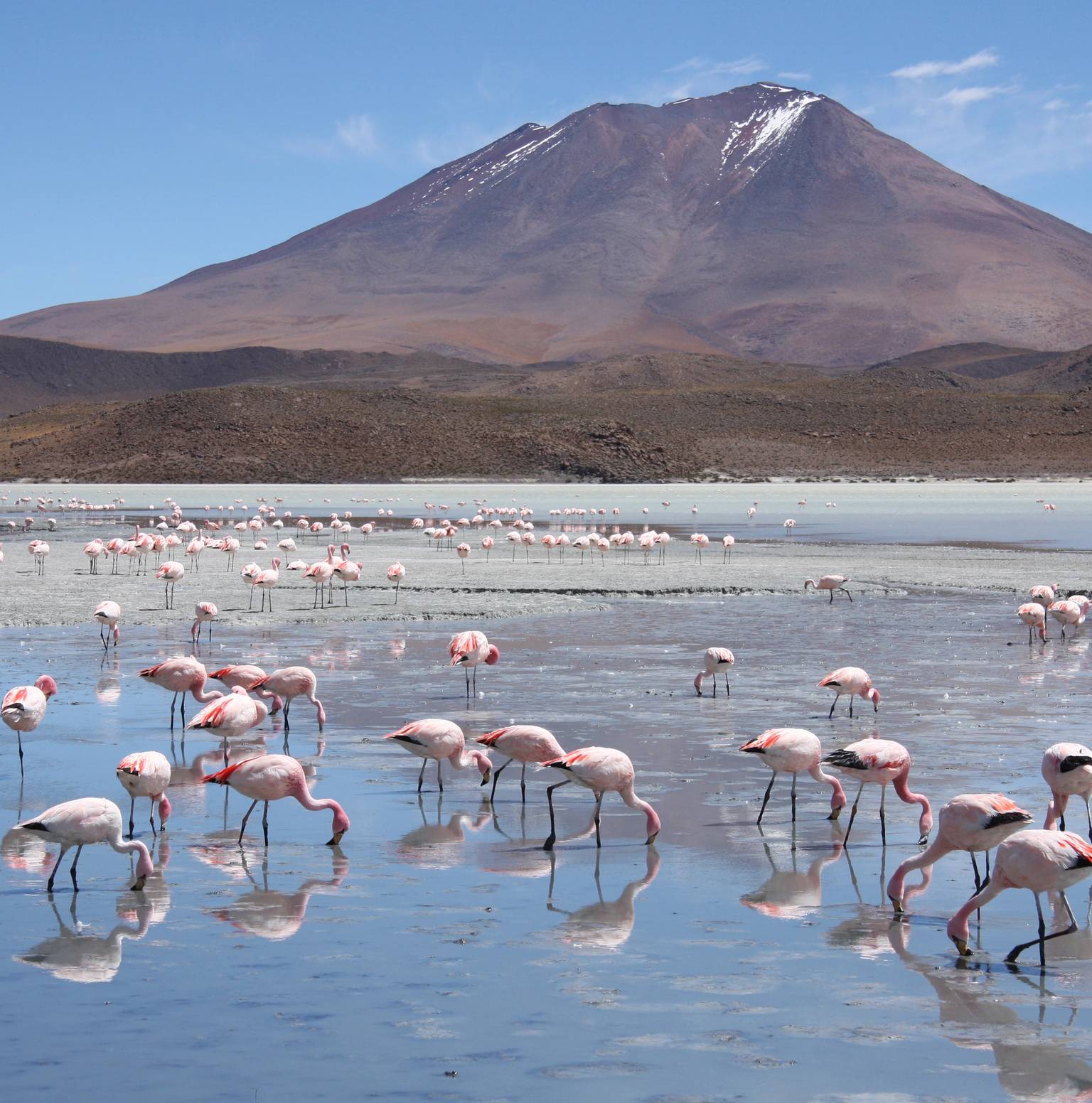 Salar de Uyuni – Salt Desert Wonders & Sunset Over the White Horizon — Uyuni Salt Flat