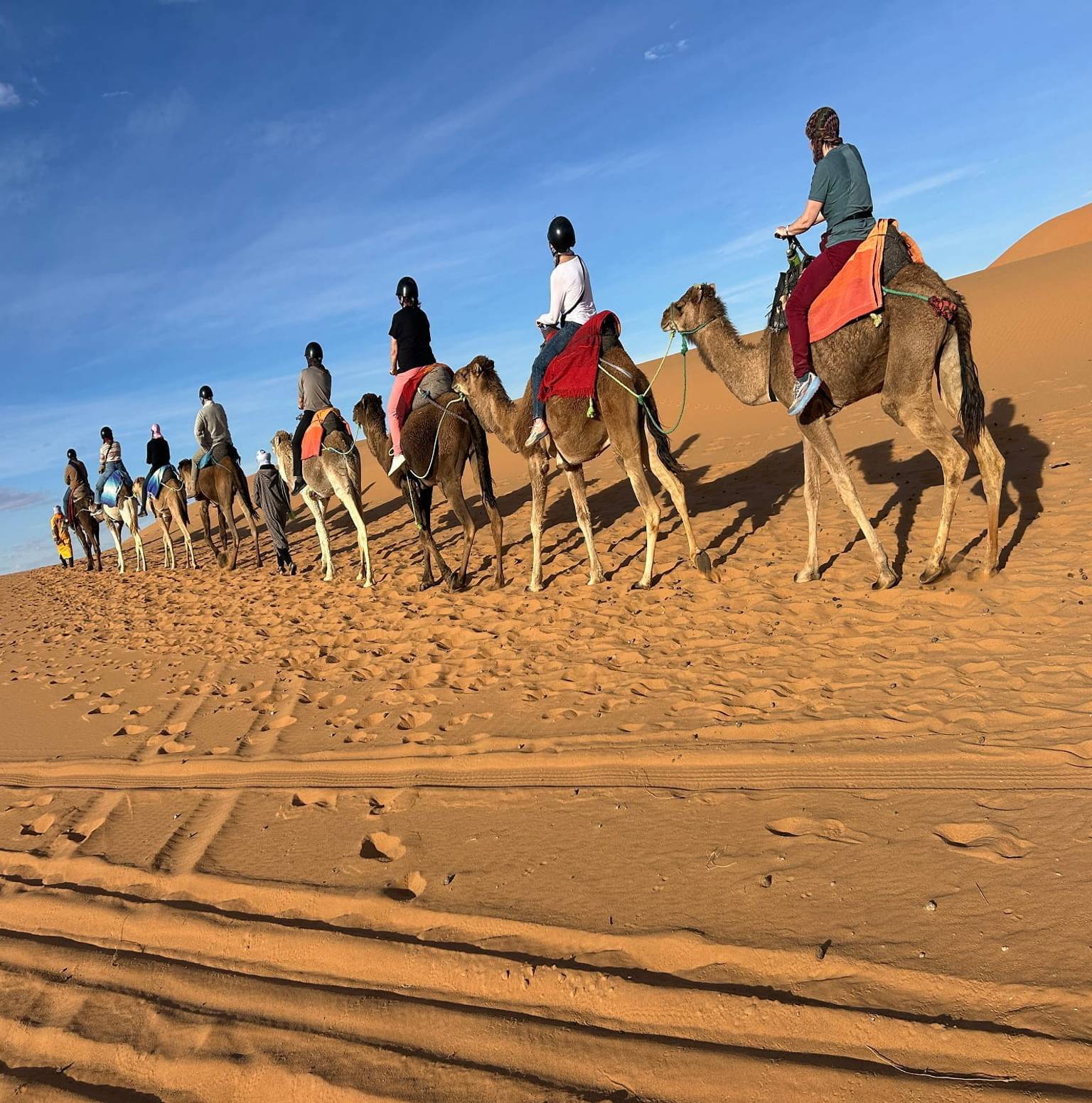 Fes - Ifrane - Cedar Forest - Ziz Valley - Erfoud - Sahara Desert — Fes