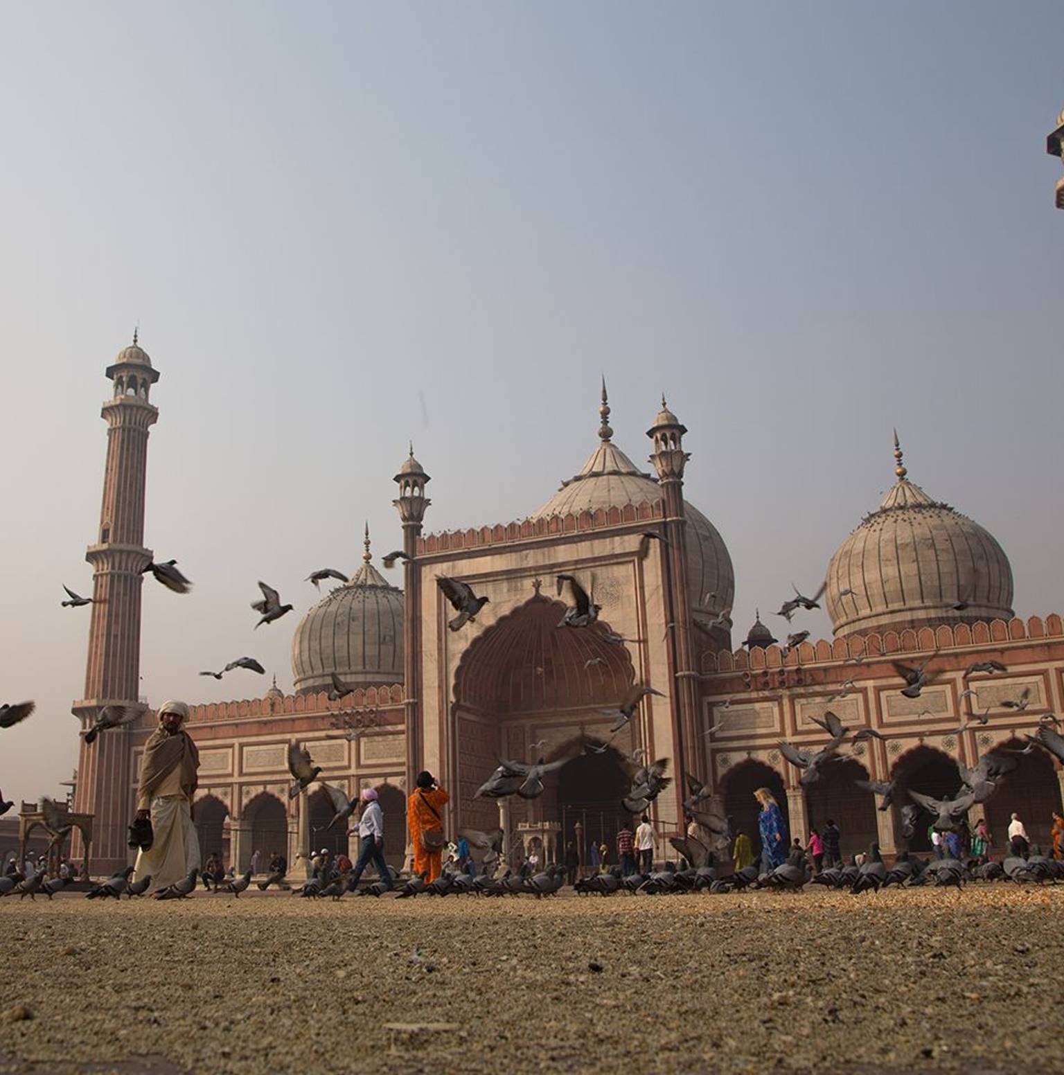 Delhi — Delhi