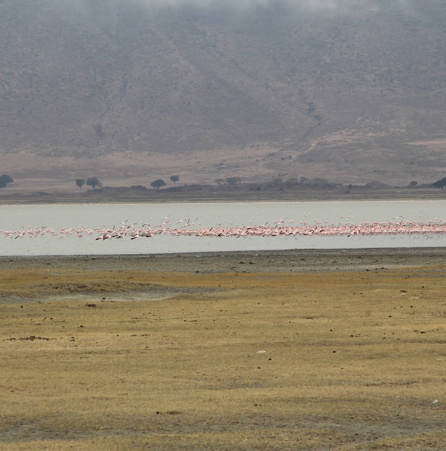 Lake Nakuru National Park — Lake Nakuru National Park
