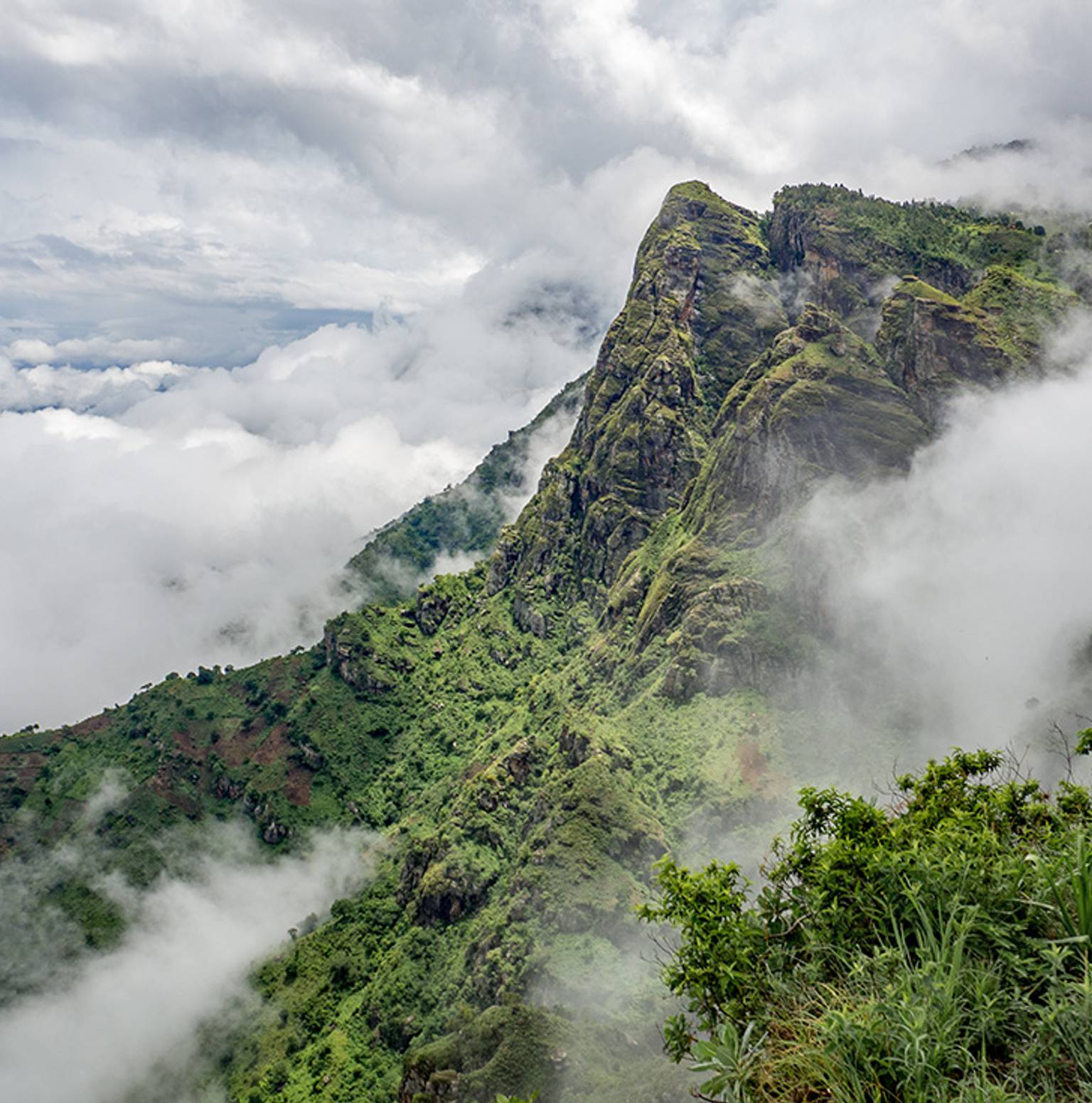Usambara Mountains — Arusha