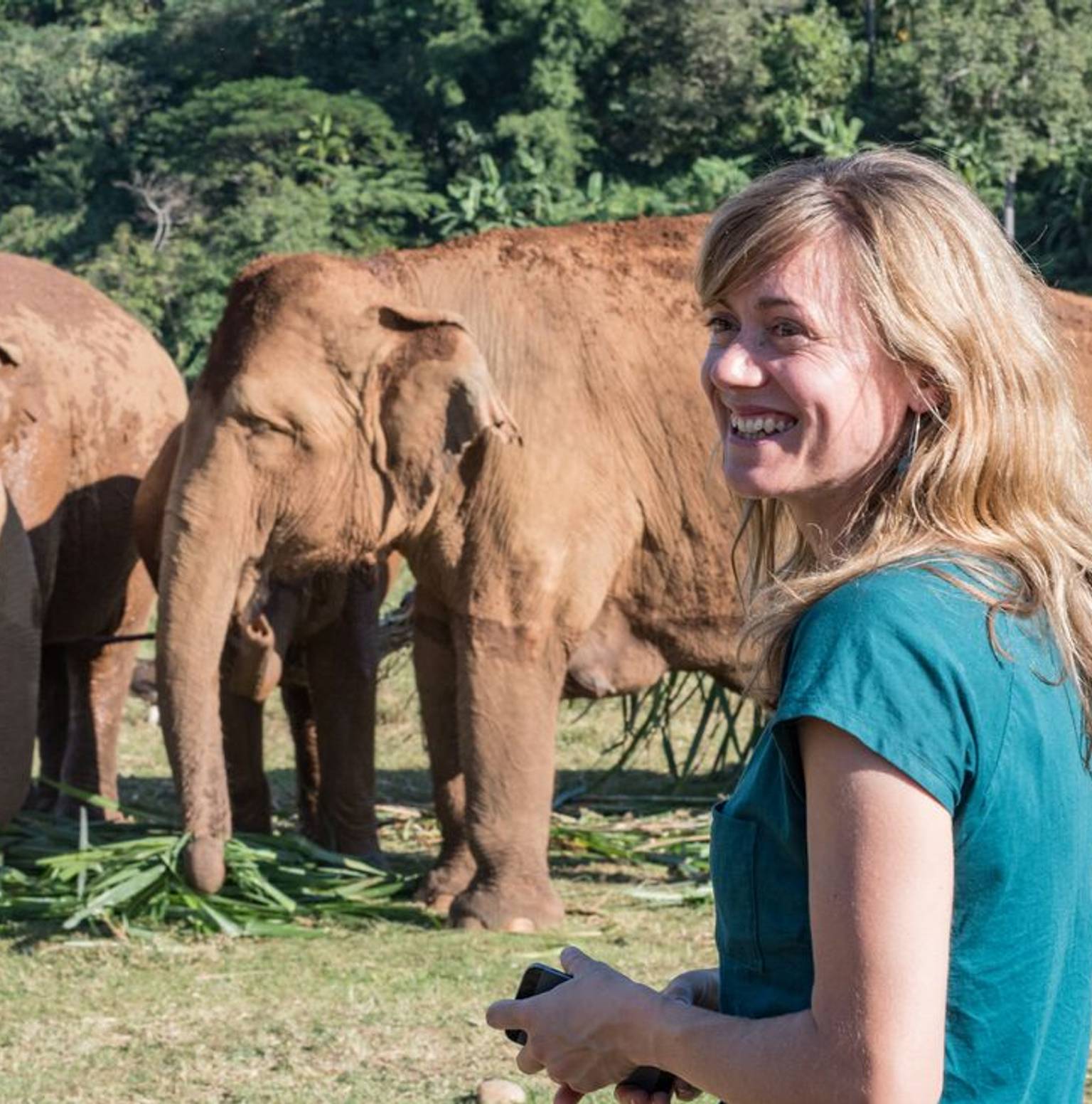 Chiang Mai — Chiang Mai