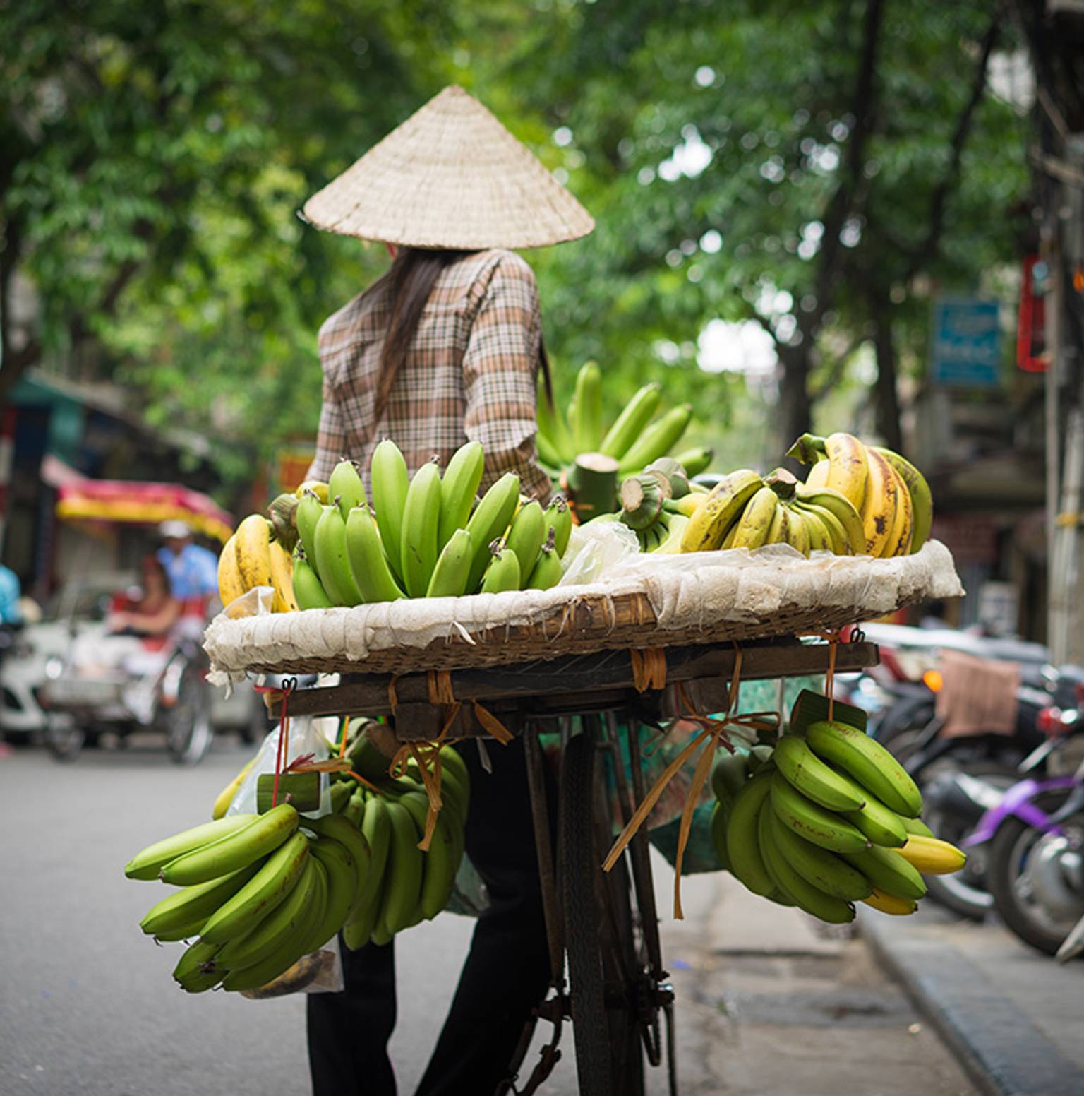 Hanoi — Hanoi