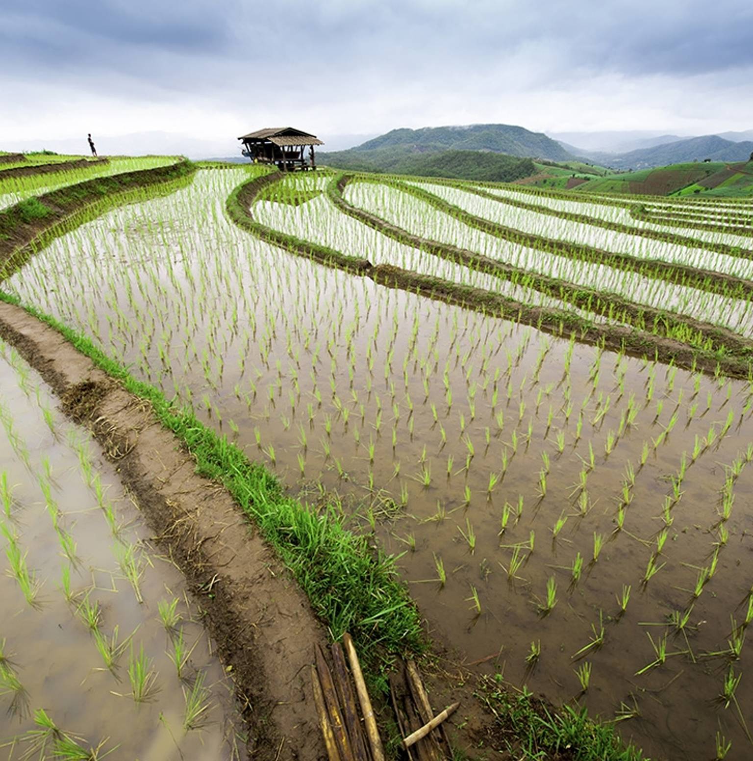 Chiang Mai — Chiang Mai