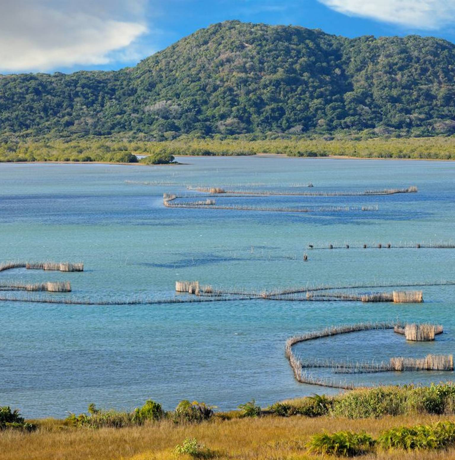 Kosi Bay — Kosi Bay Nature Reserve