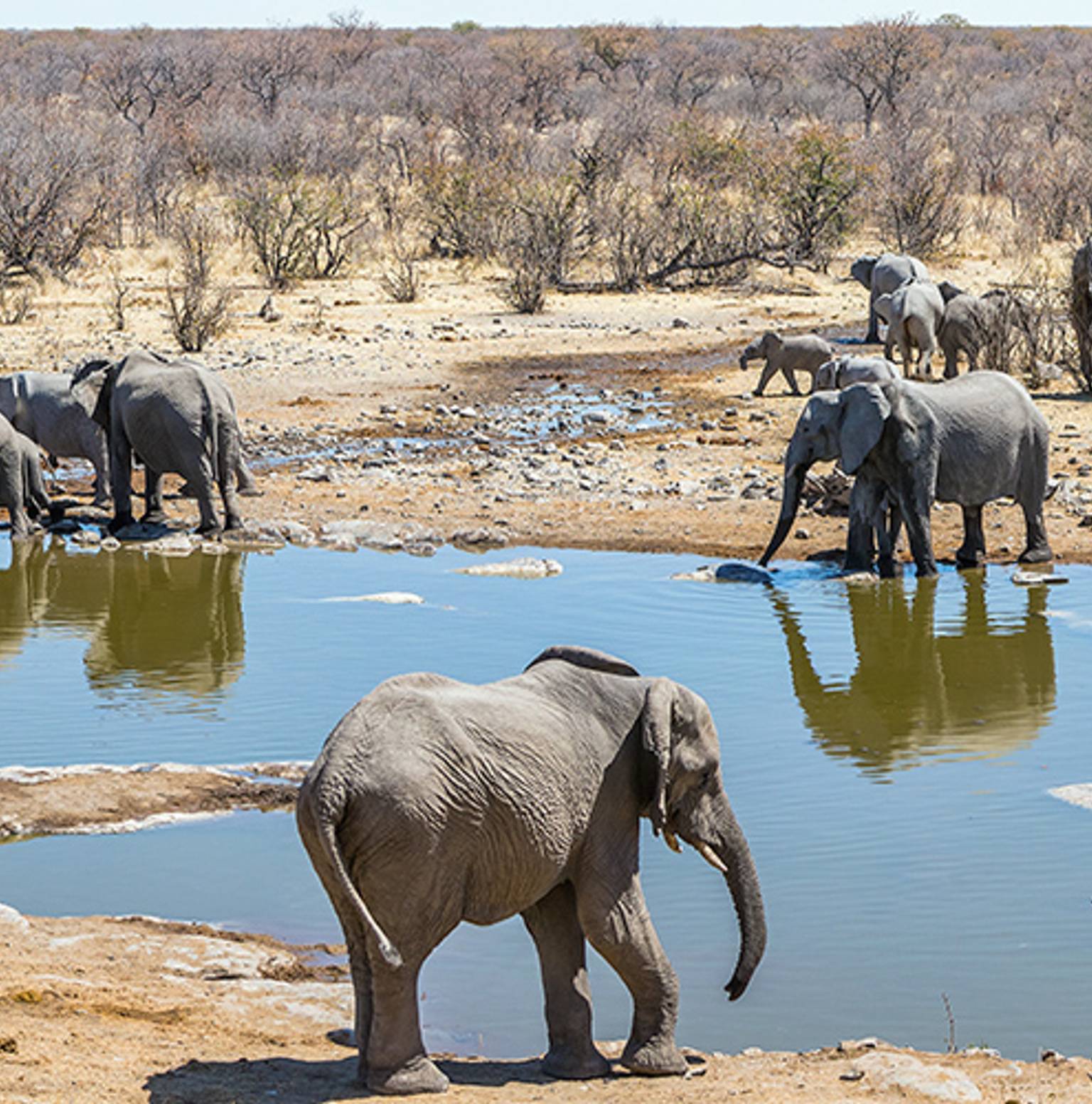 Kruger National Park — Kruger National Park