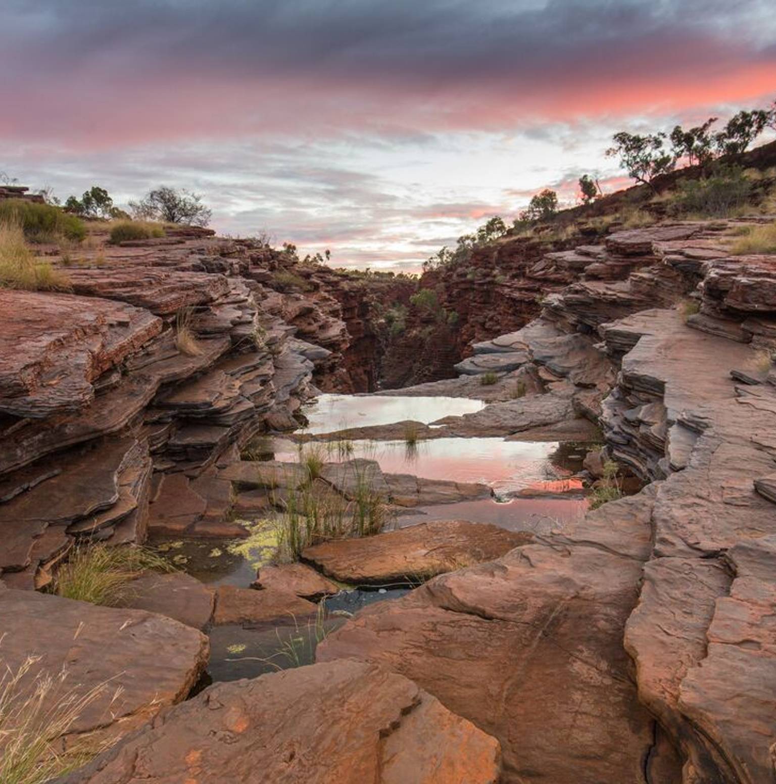 Tom Price / Karijini National Park — Tom Price
