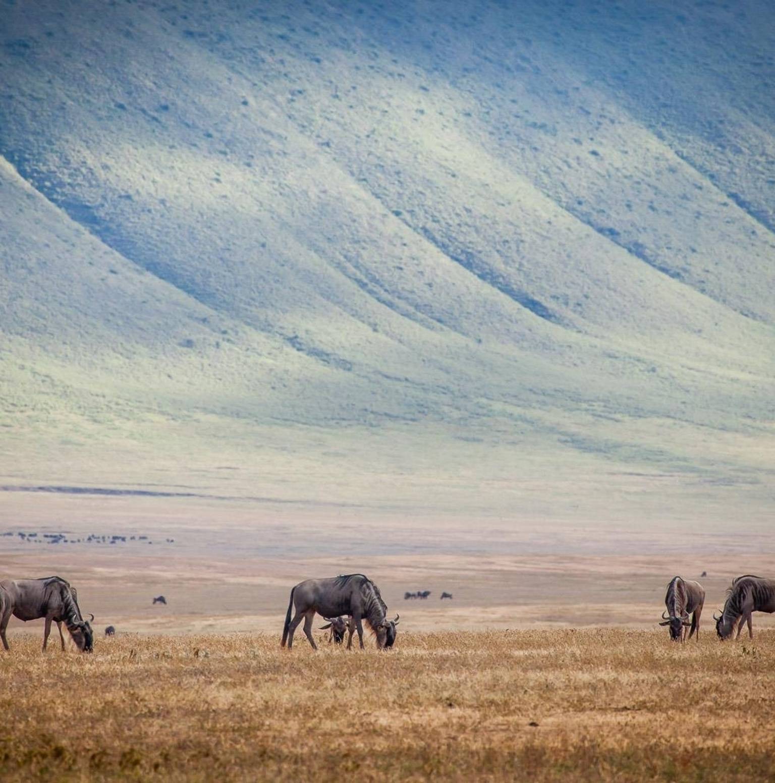 Ngorongoro Crater, Tanzania — Serengeti National Park