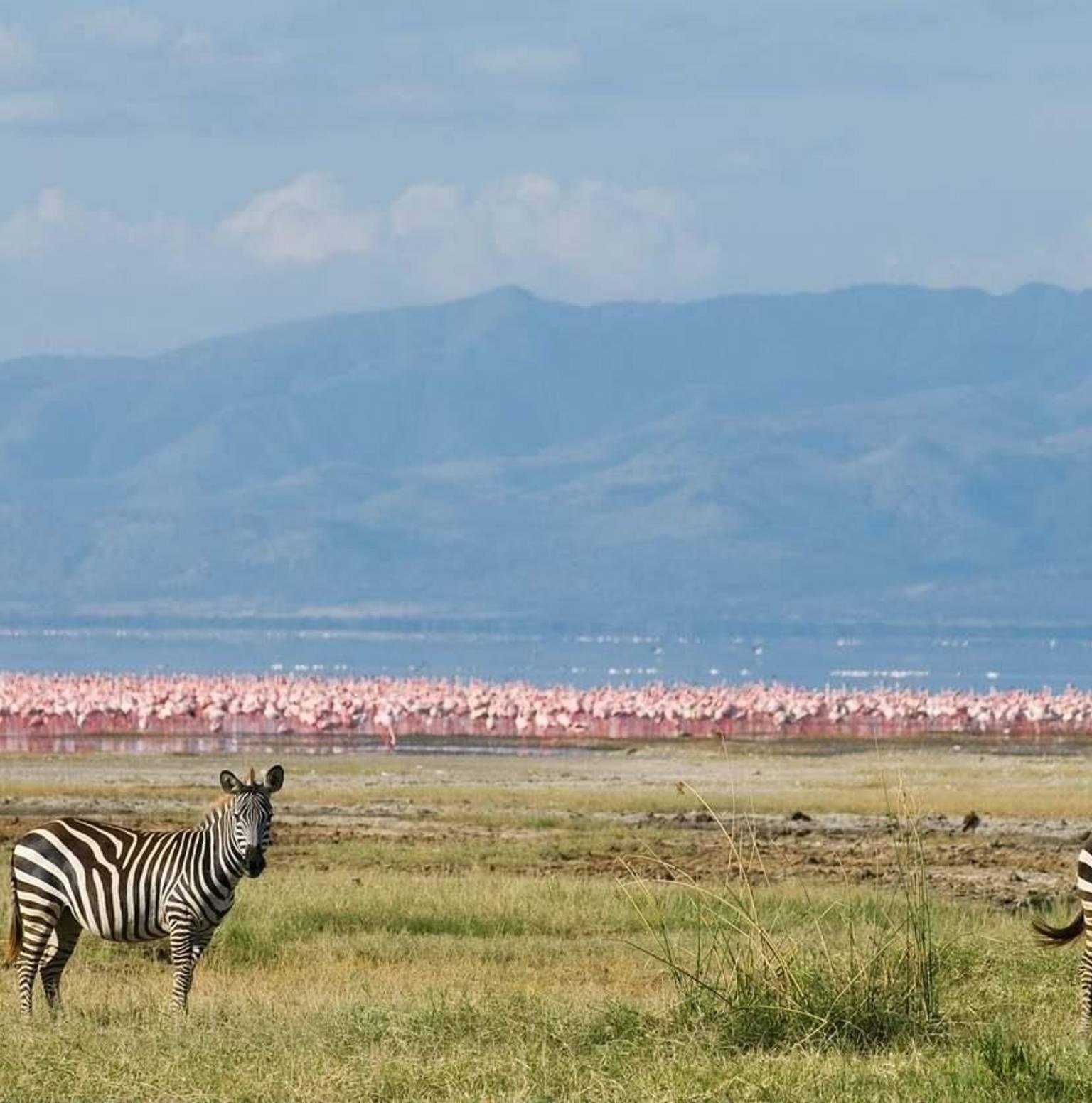Lake Nakuru, Kenya — Lake Nakuru National Park