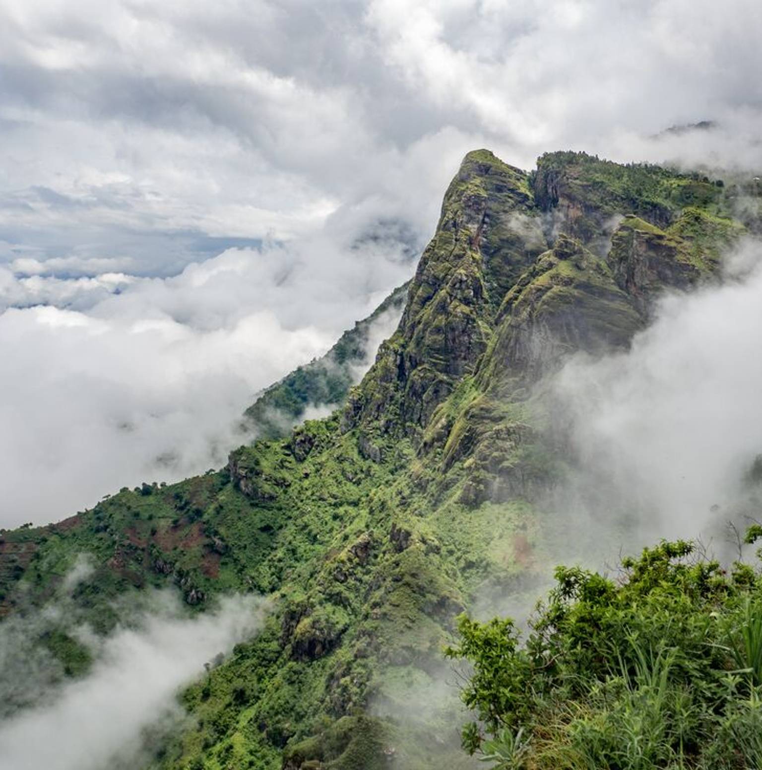 Usambara Mountains — Usambara Mountains