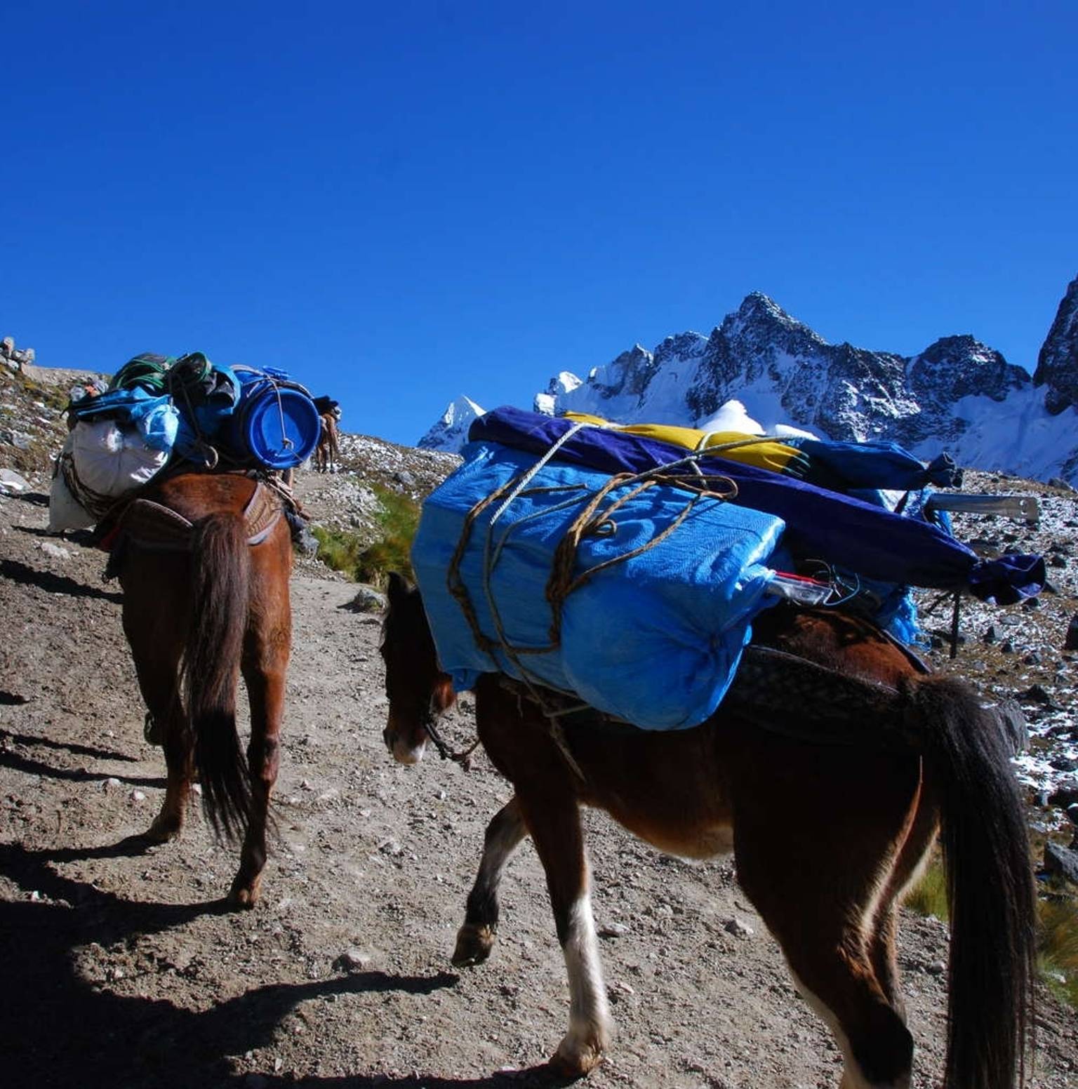 CUSCO TO SALKANTAY PAMPA — Mollepata