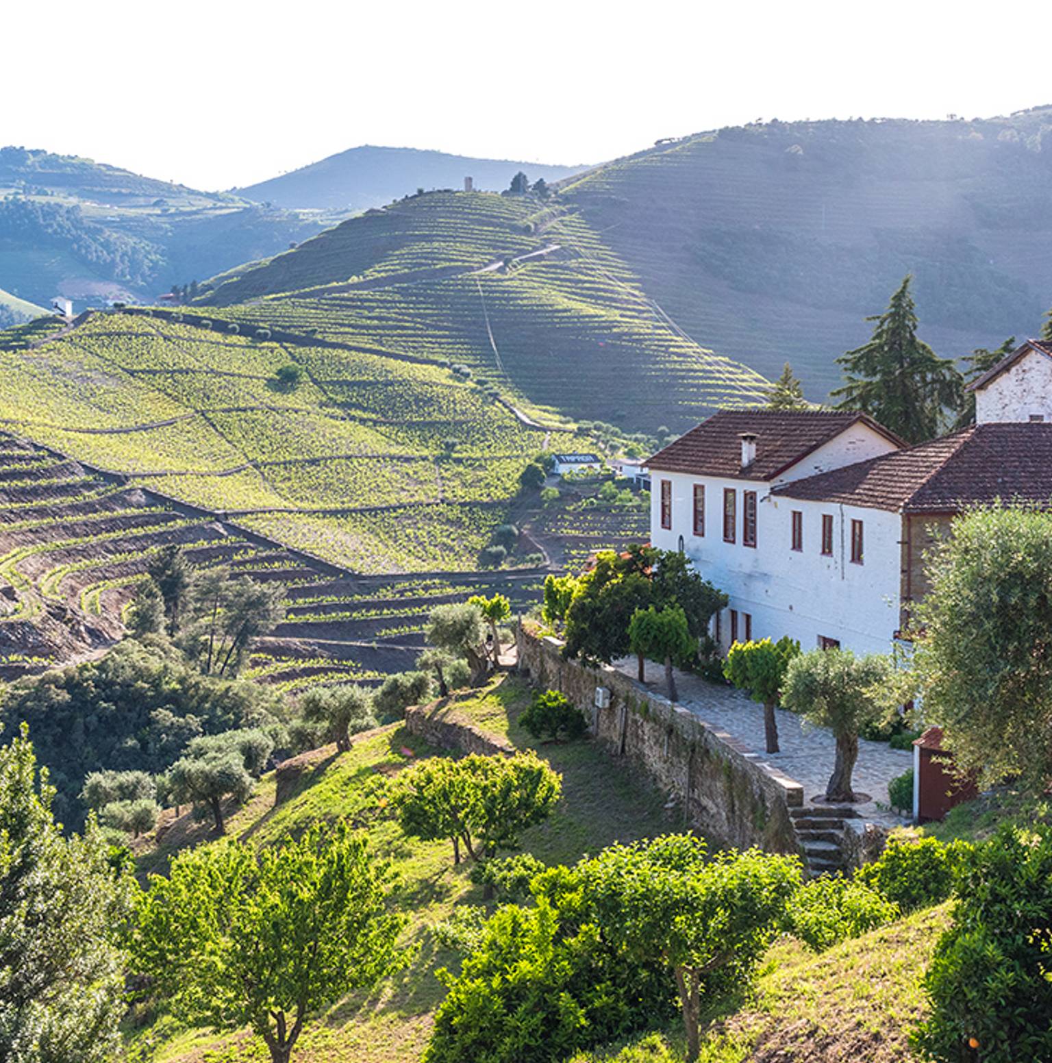 Porto — Porto