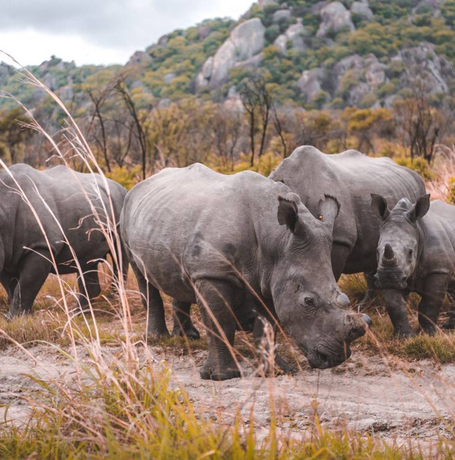 Matobo National Park — Bulawayo
