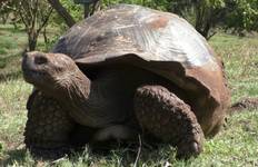 Circuit Nature et aventure : 5 jours à Santa Cruz et Isabela