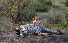 Circuit Parc national de Chitwan - 4 jours